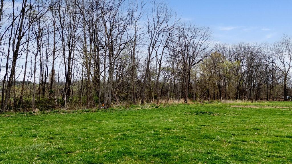 TBD CHURCHVILLE AVE, CHURCHVILLE, Virginia 24421, ,Land,TBD CHURCHVILLE AVE,662701 MLS # 662701