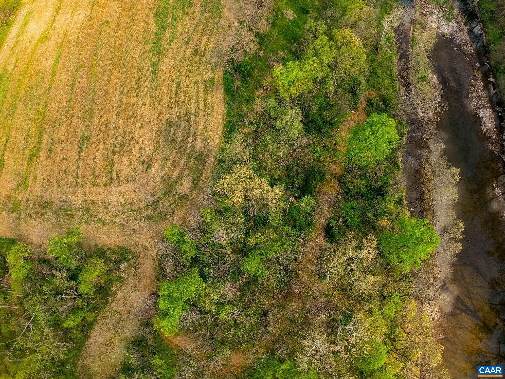 15799 STROOPTOWN RD, TIMBERVILLE, Virginia 22853, ,Land,15799 STROOPTOWN RD,676116 MLS # 676116