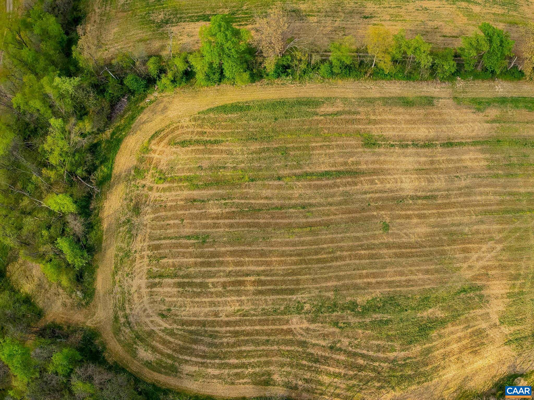 15799 STROOPTOWN RD, TIMBERVILLE, Virginia 22853, ,Land,15799 STROOPTOWN RD,676116 MLS # 676116