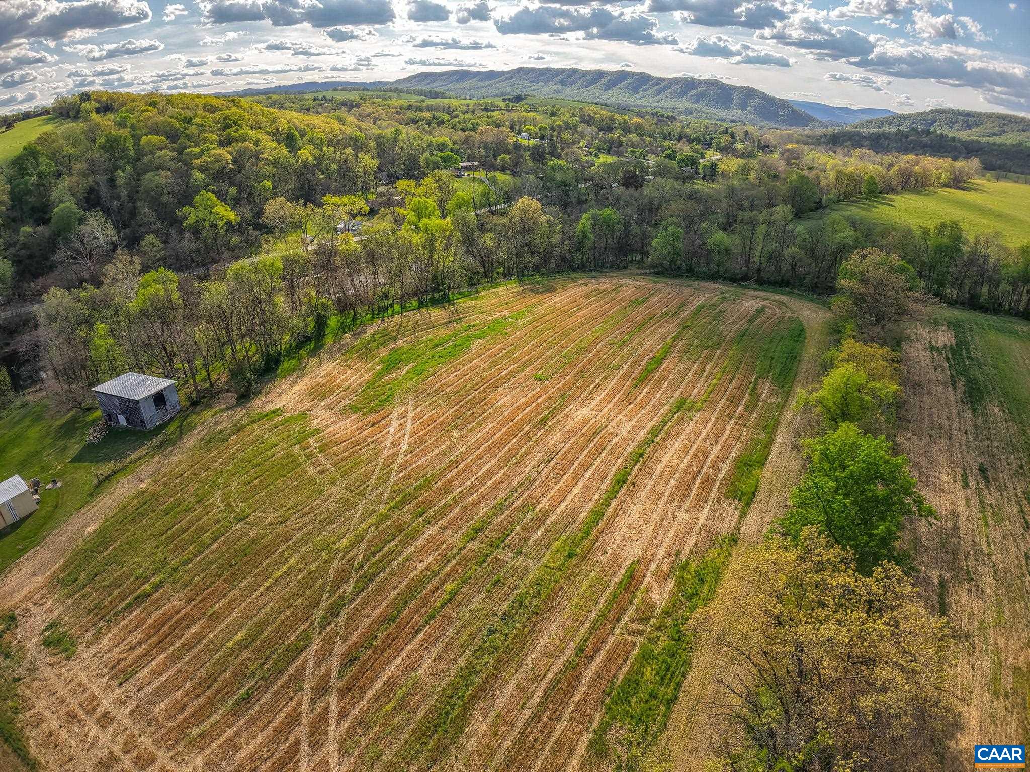 15799 STROOPTOWN RD, TIMBERVILLE, Virginia 22853, ,Land,15799 STROOPTOWN RD,676116 MLS # 676116