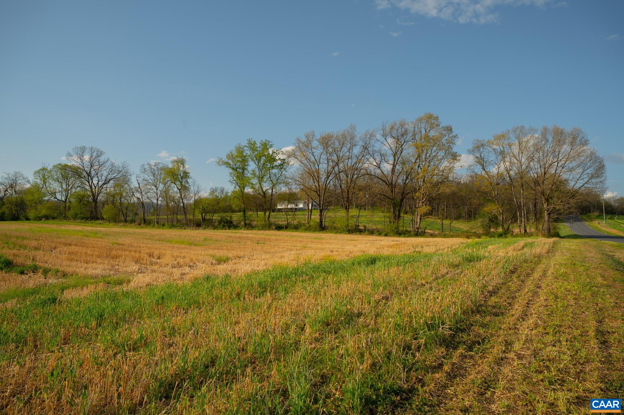 15799 STROOPTOWN RD, TIMBERVILLE, Virginia 22853, ,Land,15799 STROOPTOWN RD,676116 MLS # 676116