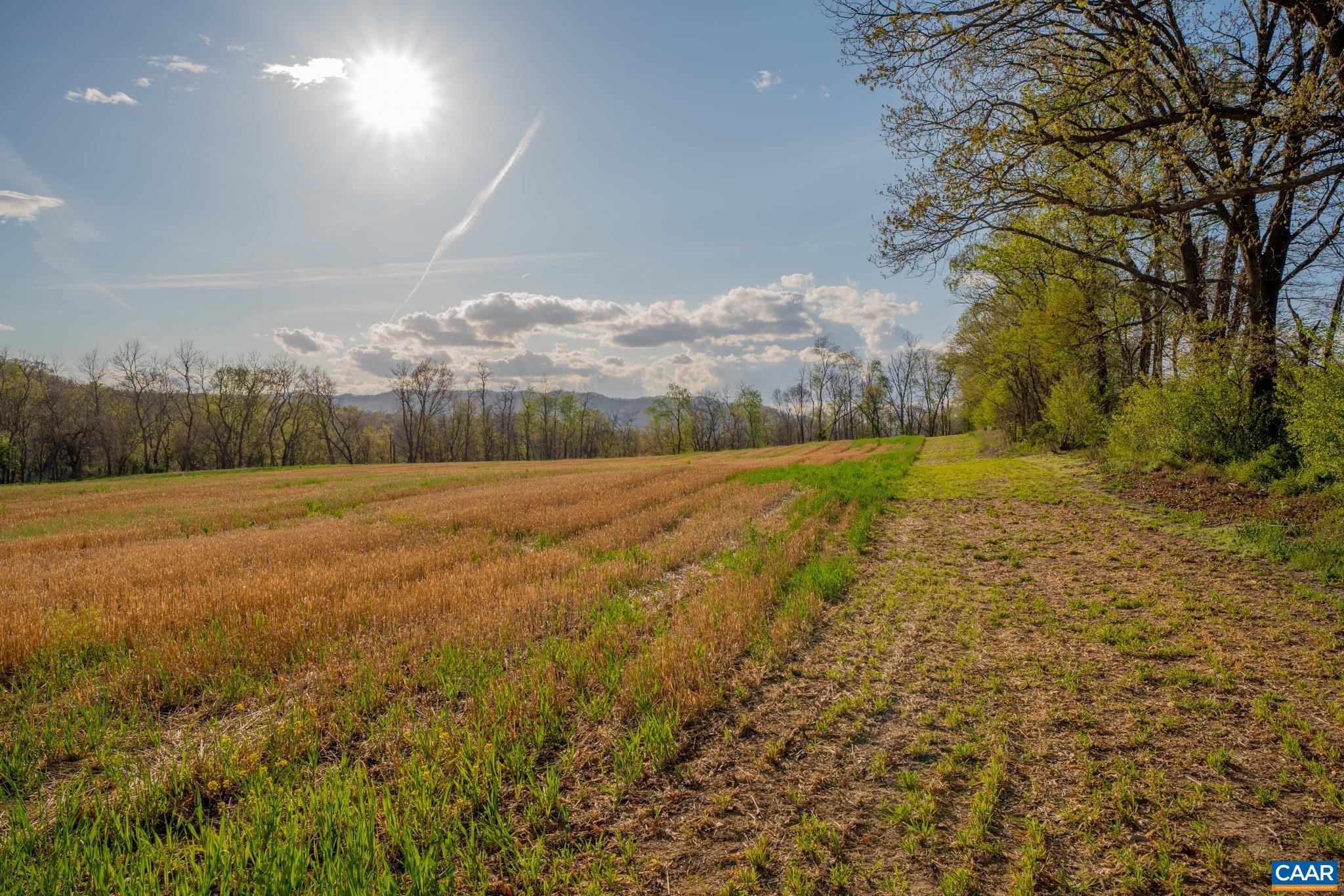 15799 STROOPTOWN RD, TIMBERVILLE, Virginia 22853, ,Land,15799 STROOPTOWN RD,676116 MLS # 676116