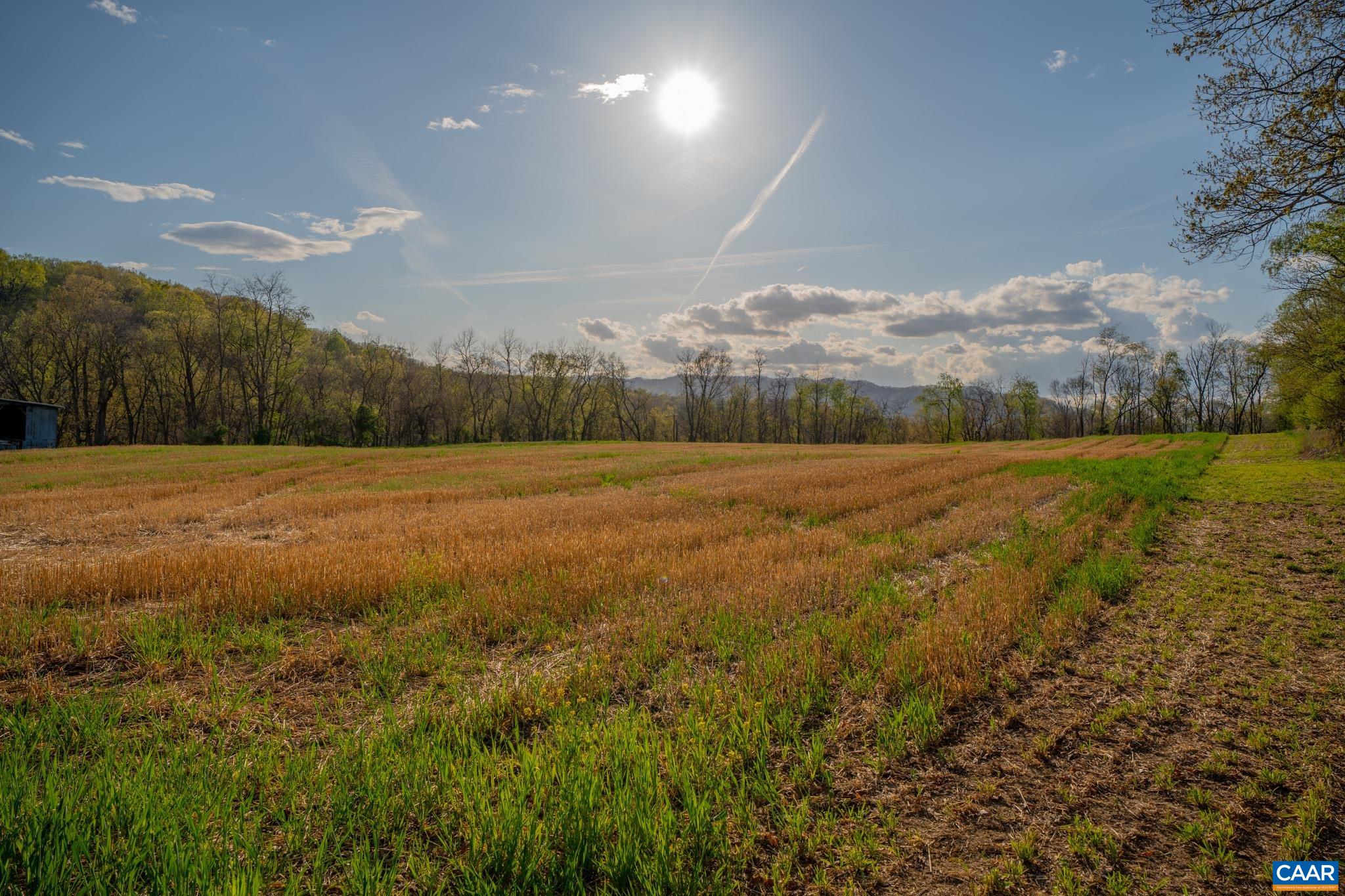 15799 STROOPTOWN RD, TIMBERVILLE, Virginia 22853, ,Land,15799 STROOPTOWN RD,676116 MLS # 676116