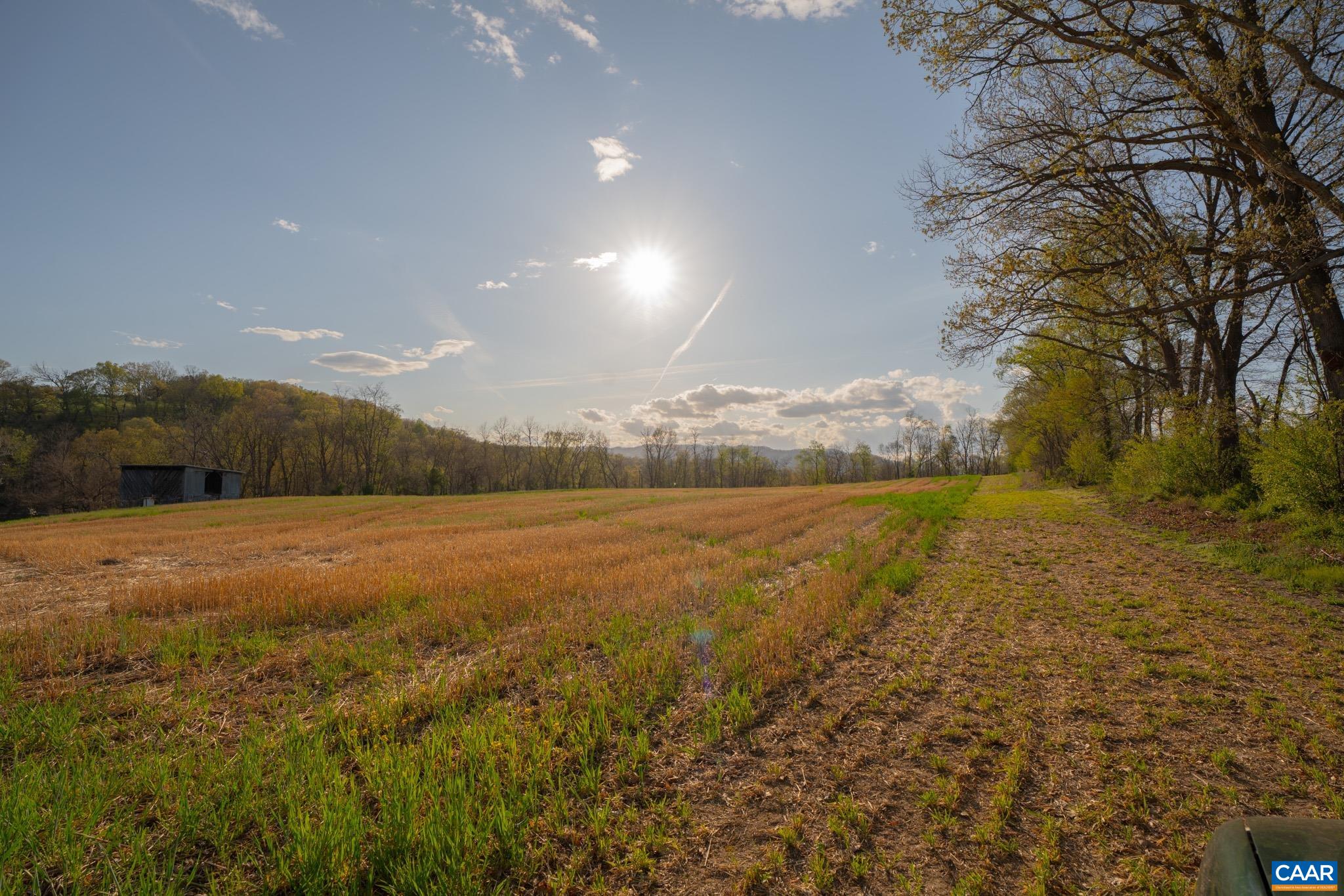 15799 STROOPTOWN RD, TIMBERVILLE, Virginia 22853, ,Land,15799 STROOPTOWN RD,676116 MLS # 676116