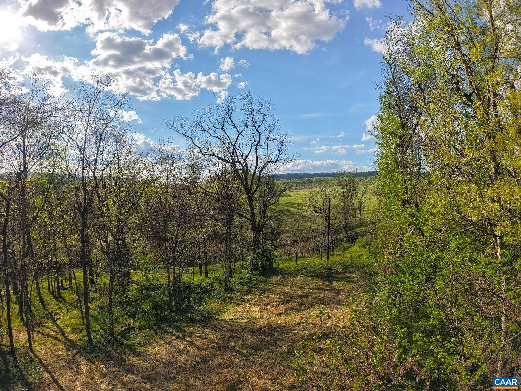 15799 STROOPTOWN RD, TIMBERVILLE, Virginia 22853, ,Land,15799 STROOPTOWN RD,676116 MLS # 676116