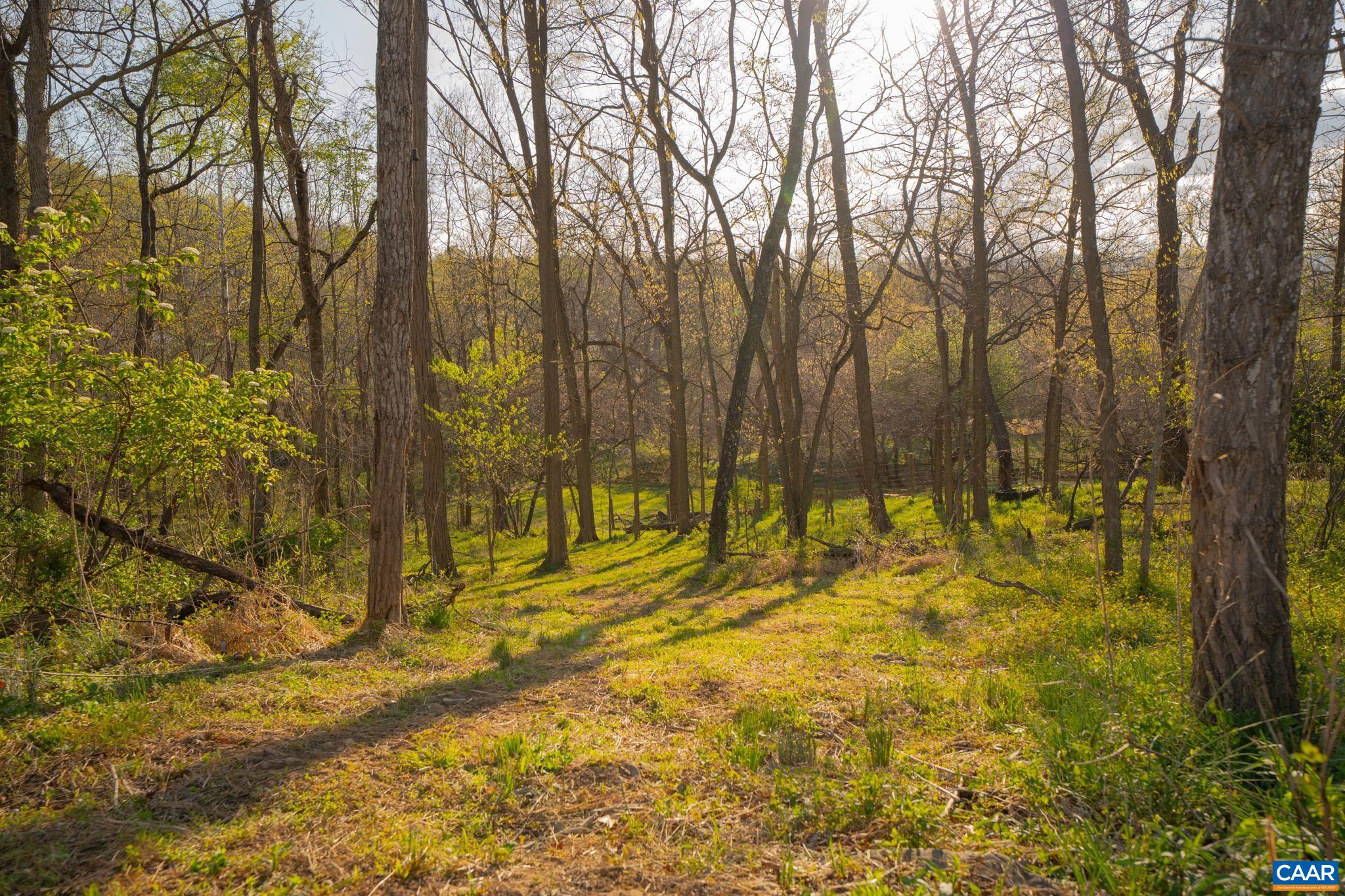 15799 STROOPTOWN RD, TIMBERVILLE, Virginia 22853, ,Land,15799 STROOPTOWN RD,676116 MLS # 676116