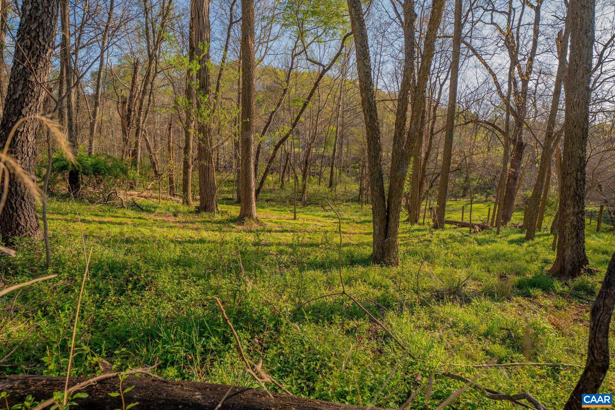 15799 STROOPTOWN RD, TIMBERVILLE, Virginia 22853, ,Land,15799 STROOPTOWN RD,676116 MLS # 676116