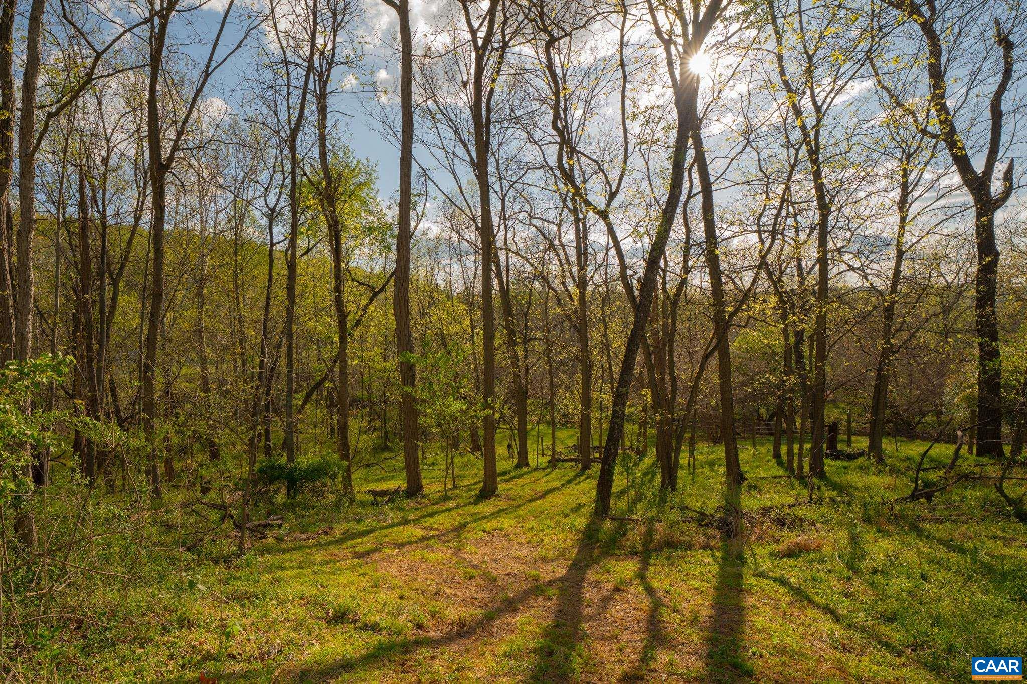 15799 STROOPTOWN RD, TIMBERVILLE, Virginia 22853, ,Land,15799 STROOPTOWN RD,676116 MLS # 676116