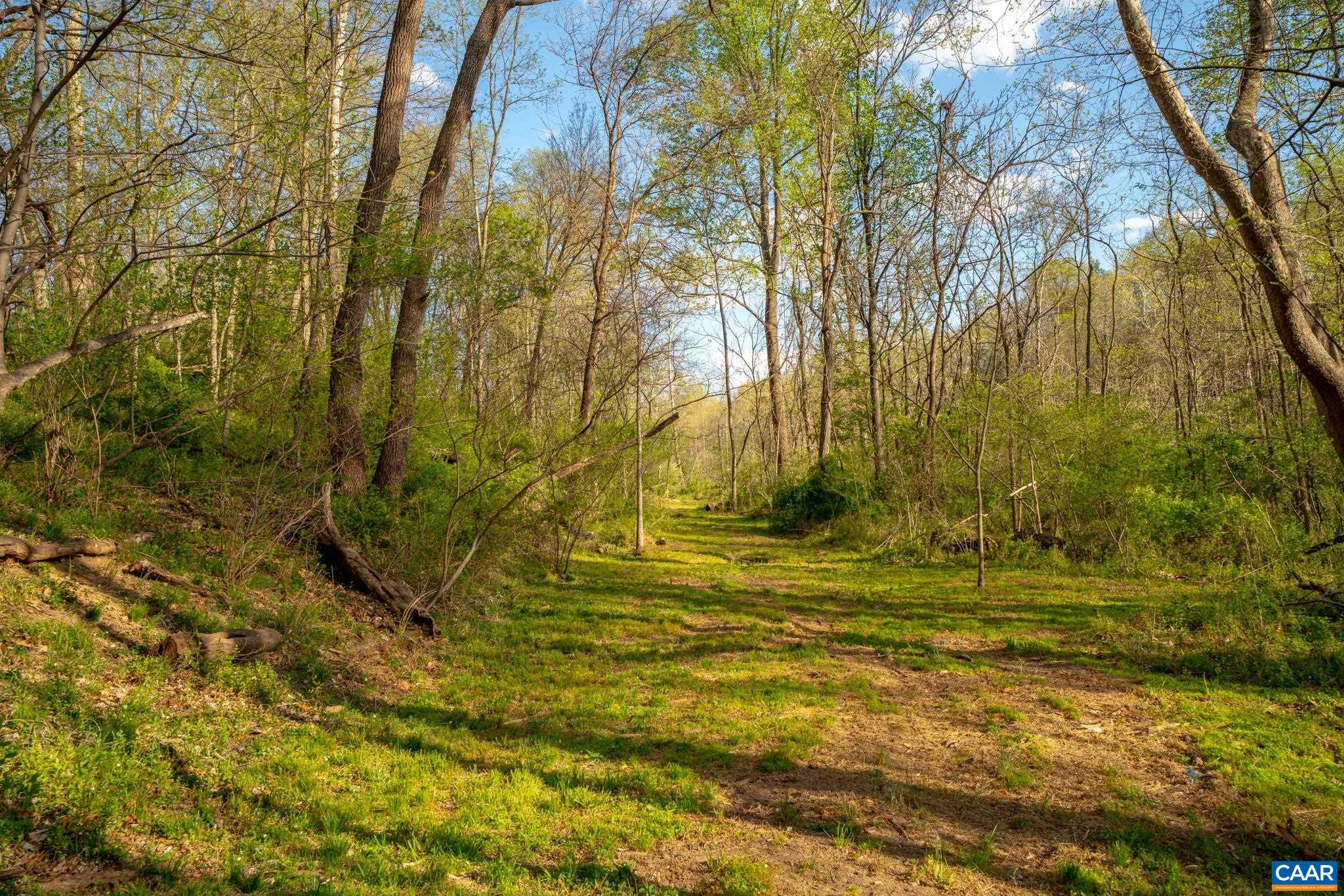 15799 STROOPTOWN RD, TIMBERVILLE, Virginia 22853, ,Land,15799 STROOPTOWN RD,676116 MLS # 676116