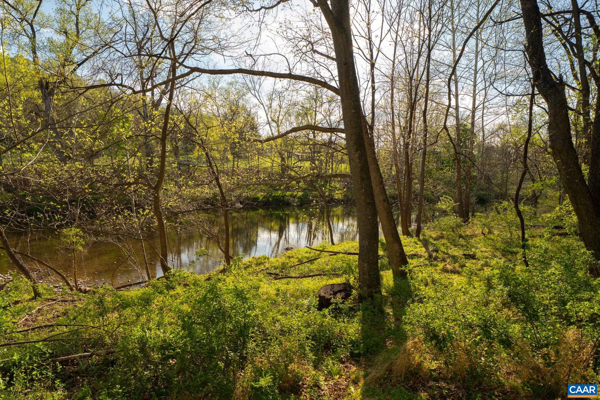 15799 STROOPTOWN RD, TIMBERVILLE, Virginia 22853, ,Land,15799 STROOPTOWN RD,676116 MLS # 676116