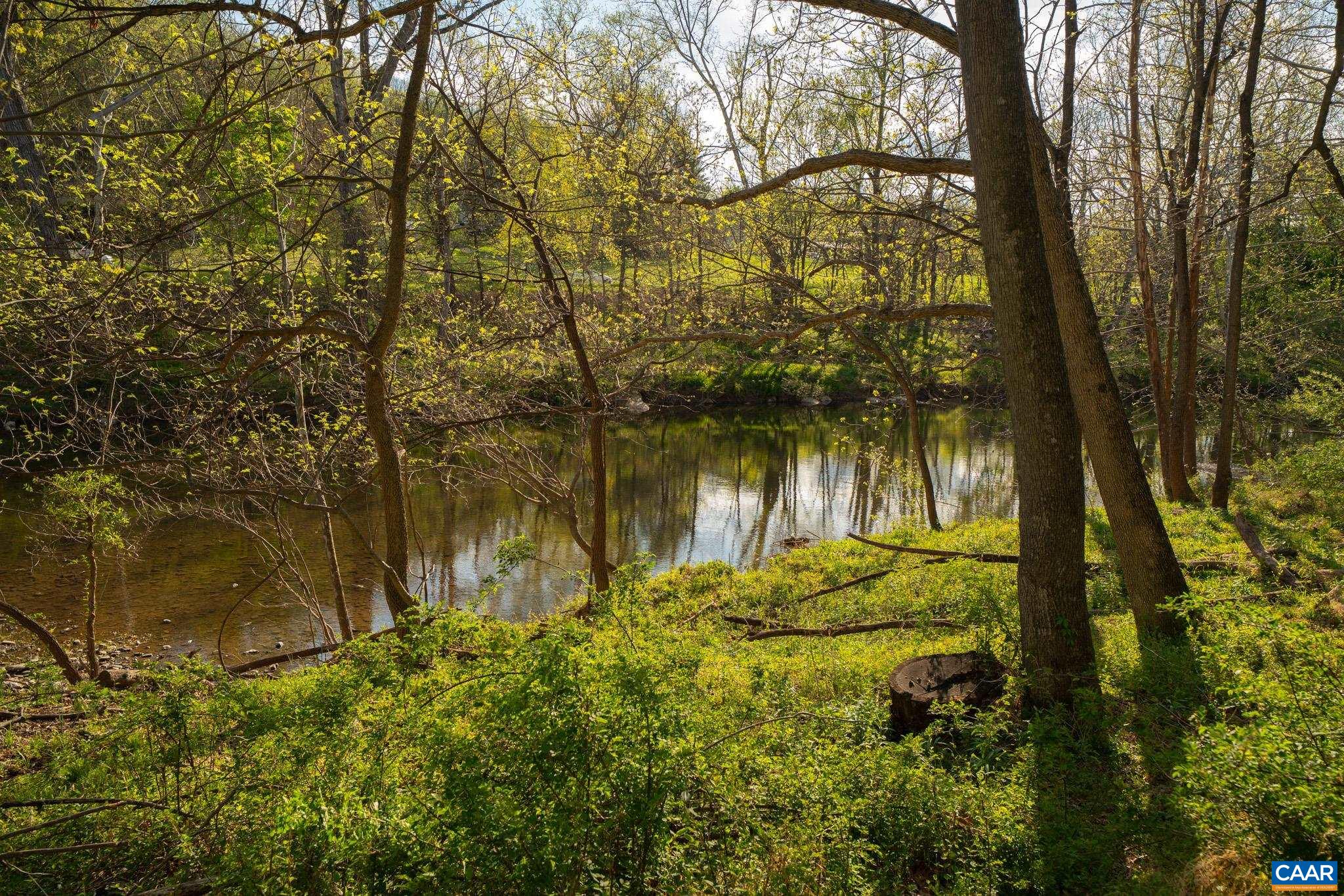 15799 STROOPTOWN RD, TIMBERVILLE, Virginia 22853, ,Land,15799 STROOPTOWN RD,676116 MLS # 676116