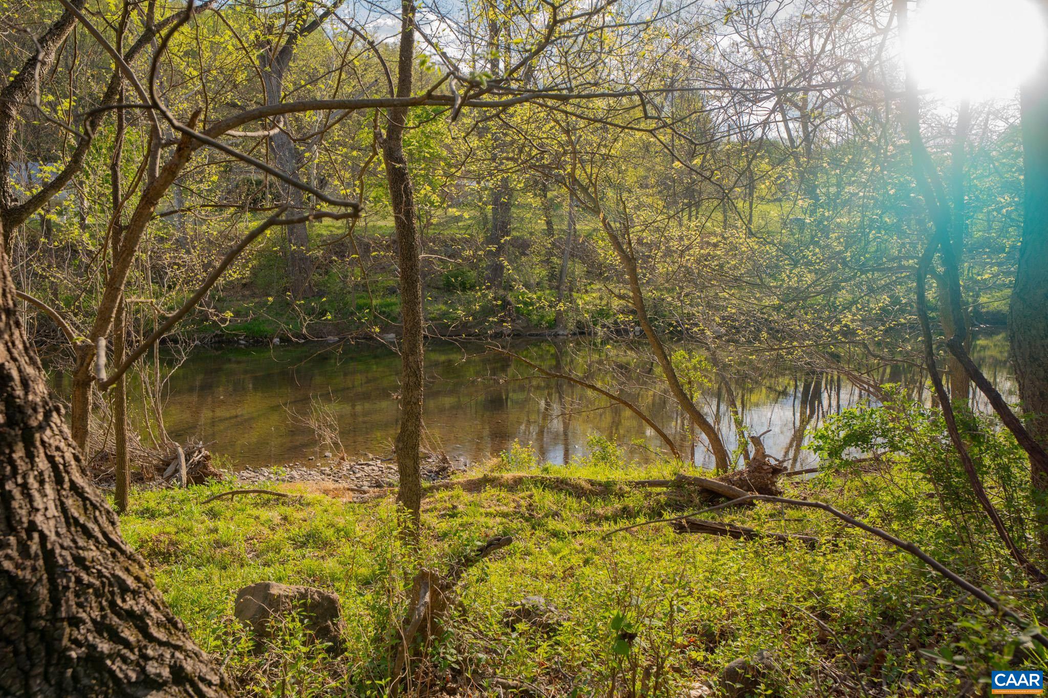 15799 STROOPTOWN RD, TIMBERVILLE, Virginia 22853, ,Land,15799 STROOPTOWN RD,676116 MLS # 676116