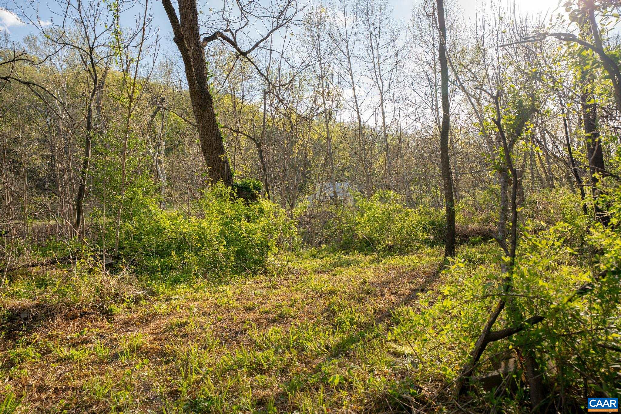 15799 STROOPTOWN RD, TIMBERVILLE, Virginia 22853, ,Land,15799 STROOPTOWN RD,676116 MLS # 676116