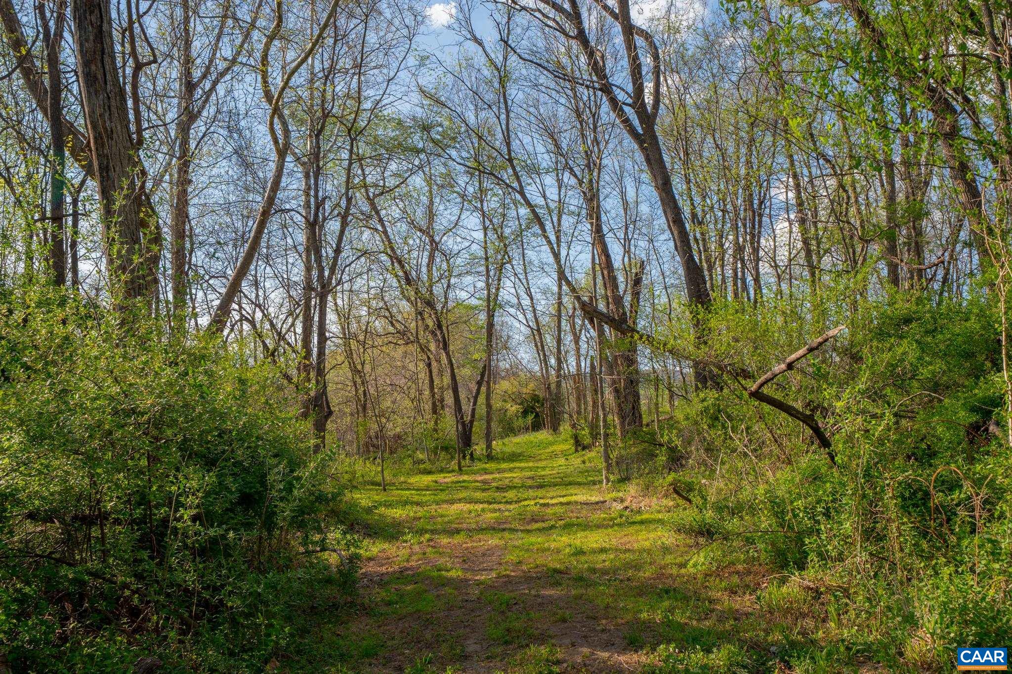 15799 STROOPTOWN RD, TIMBERVILLE, Virginia 22853, ,Land,15799 STROOPTOWN RD,676116 MLS # 676116