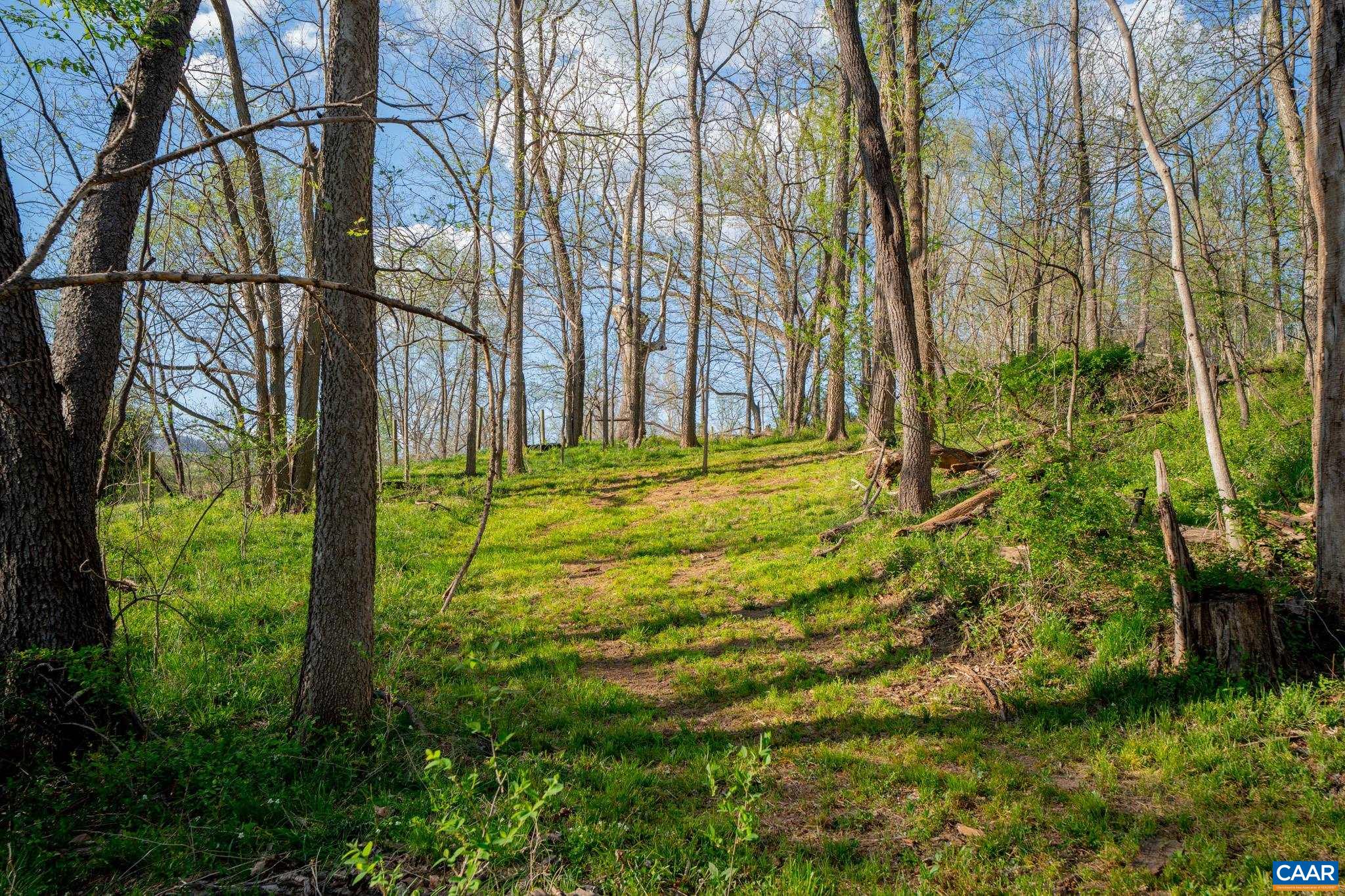 15799 STROOPTOWN RD, TIMBERVILLE, Virginia 22853, ,Land,15799 STROOPTOWN RD,676116 MLS # 676116