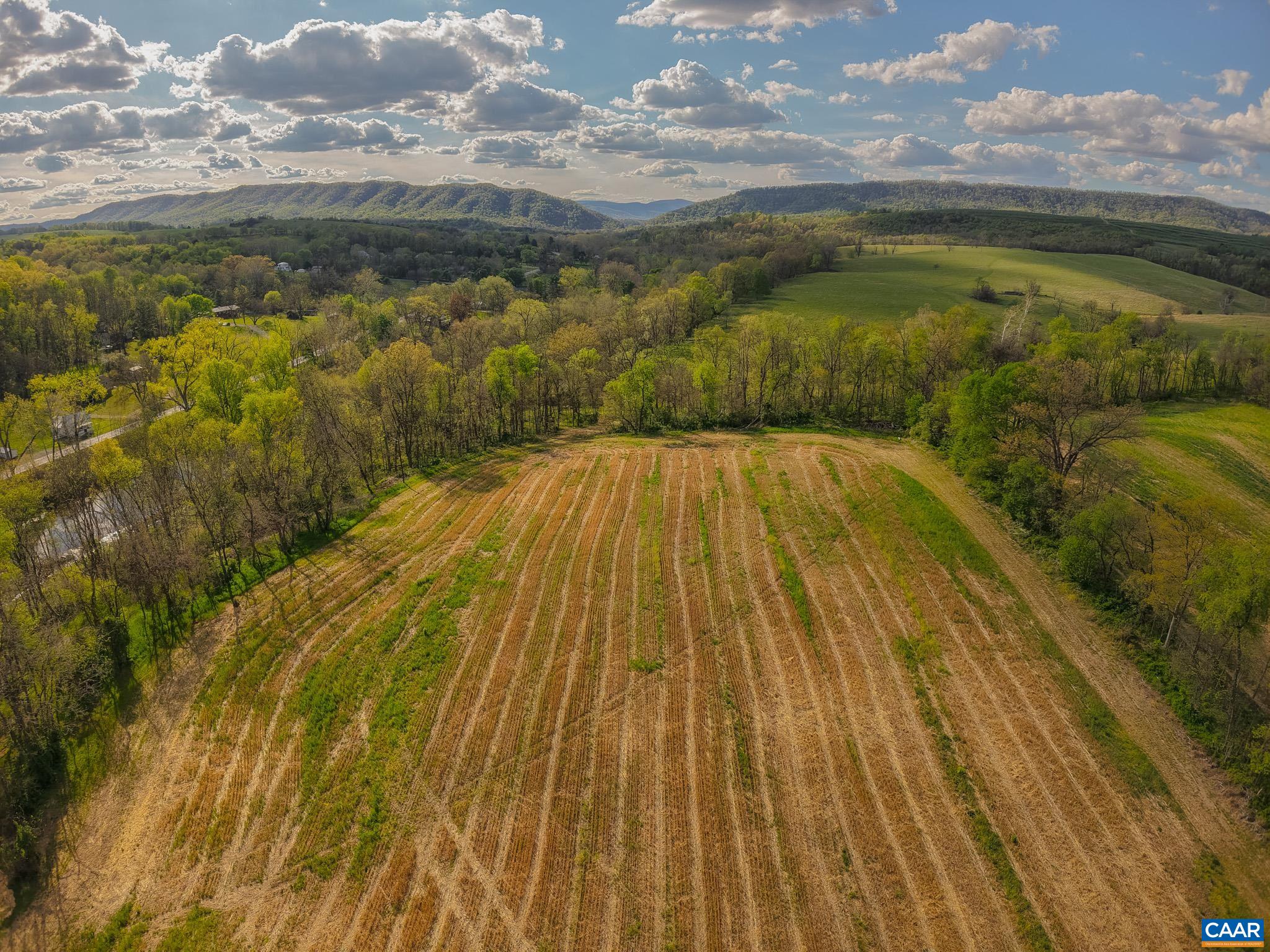 15799 STROOPTOWN RD, TIMBERVILLE, Virginia 22853, ,Land,15799 STROOPTOWN RD,676116 MLS # 676116