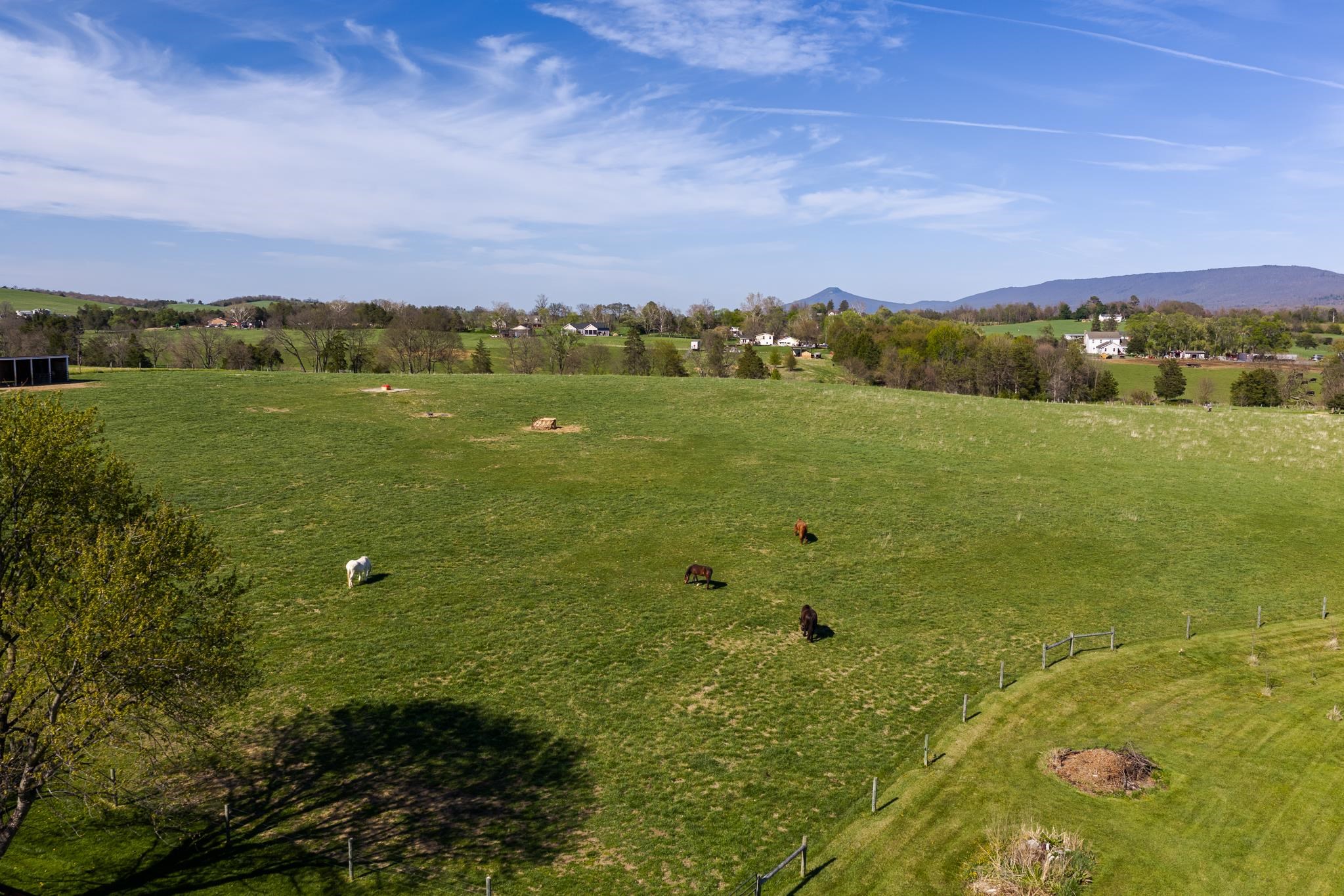 235 FAIRVIEW CHURCH RD, TIMBERVILLE, Virginia 22853, 3 Bedrooms Bedrooms, ,2 BathroomsBathrooms,Residential,Barrington Farm,235 FAIRVIEW CHURCH RD,675689 MLS # 675689