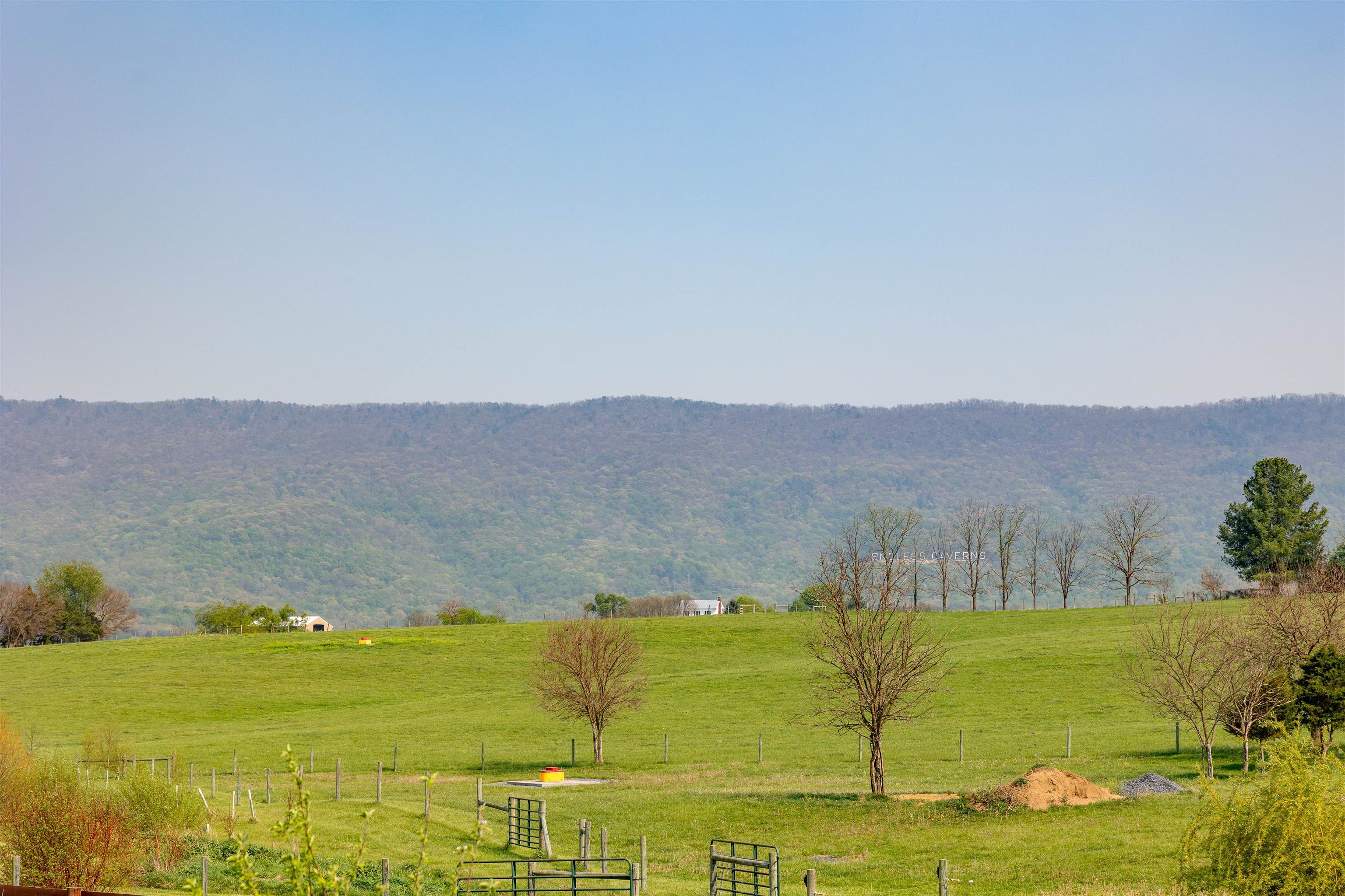 235 FAIRVIEW CHURCH RD, TIMBERVILLE, Virginia 22853, 3 Bedrooms Bedrooms, ,2 BathroomsBathrooms,Residential,Barrington Farm,235 FAIRVIEW CHURCH RD,675689 MLS # 675689