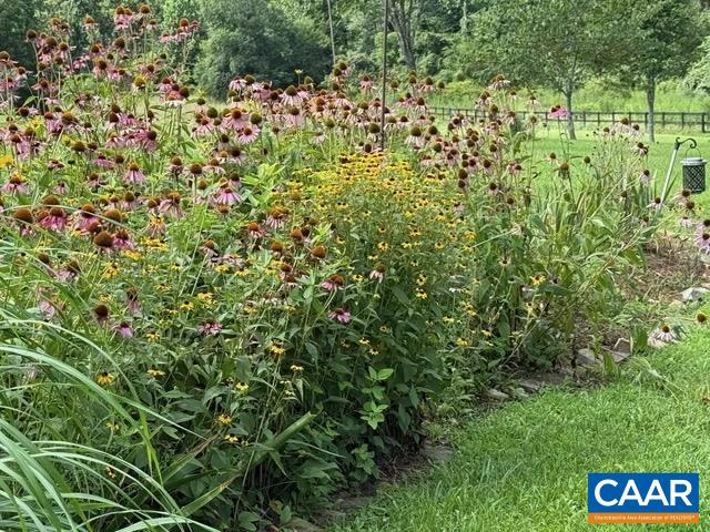 164 SUNNYSIDE LN, AFTON, Virginia 22920, 4 Bedrooms Bedrooms, ,3 BathroomsBathrooms,Residential,164 SUNNYSIDE LN,676042 MLS # 676042