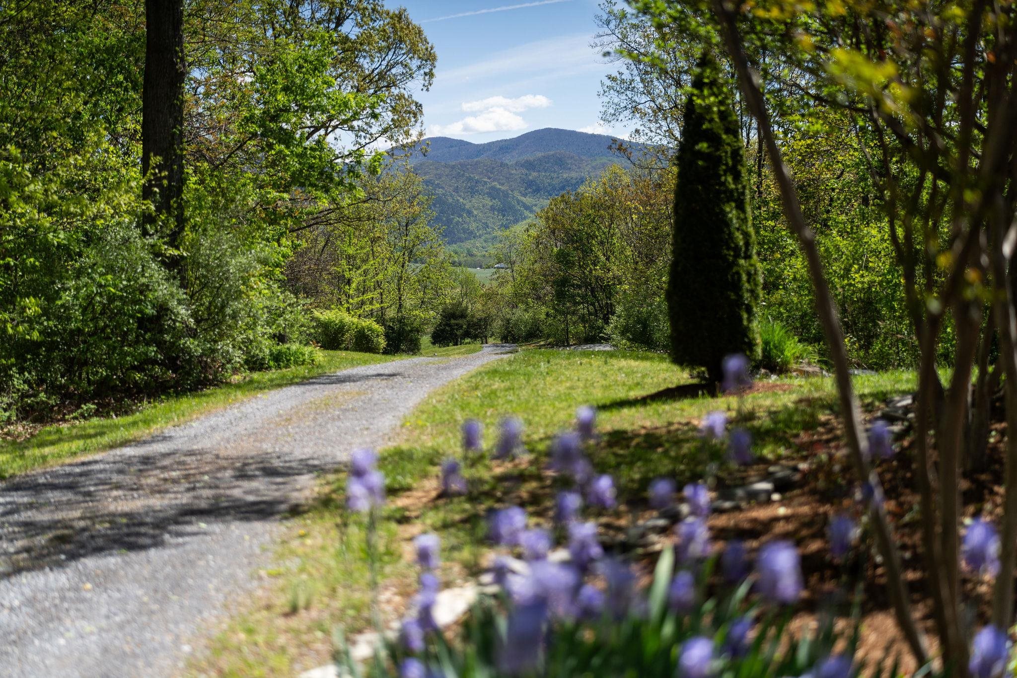 150 FAIRFIELD ESTATES DR, RAPHINE, Virginia 24472, 4 Bedrooms Bedrooms, ,3 BathroomsBathrooms,Residential,Cracker Barrell House!,150 FAIRFIELD ESTATES DR,676105 MLS # 676105