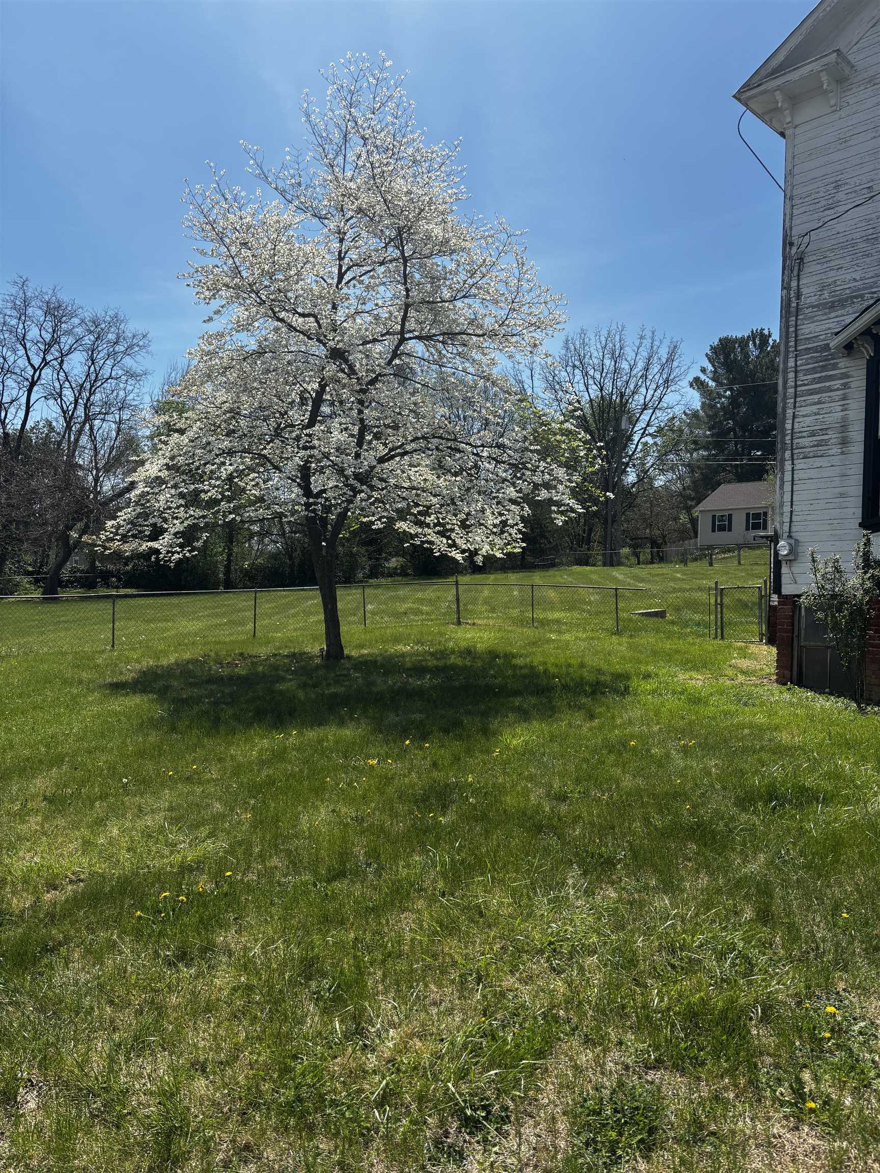 502 TANNEHILL ST, STAUNTON, Virginia 24401, 3 Bedrooms Bedrooms, ,1 BathroomBathrooms,Residential,502 TANNEHILL ST,676111 MLS # 676111