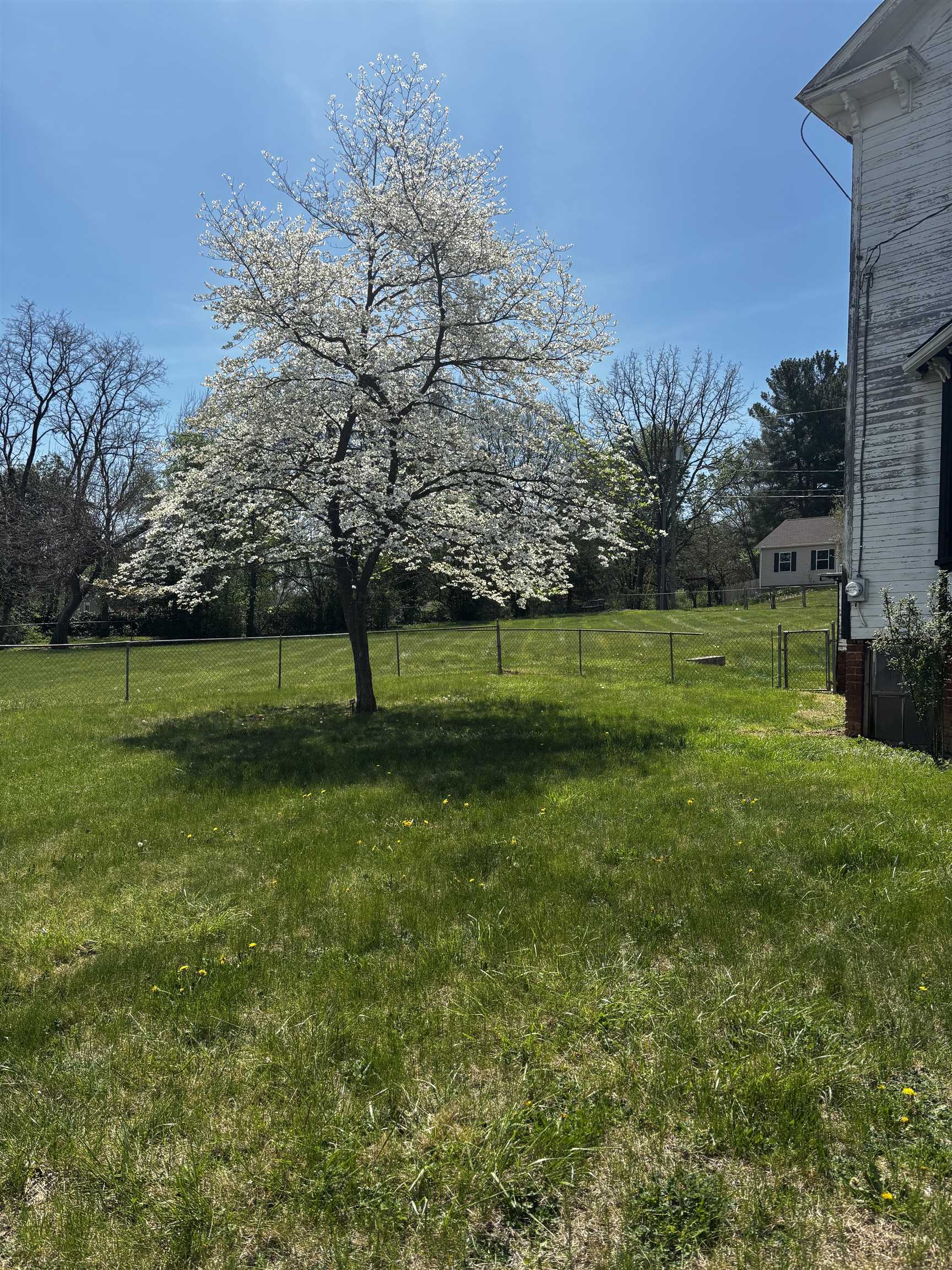 502 TANNEHILL ST, STAUNTON, Virginia 24401, 3 Bedrooms Bedrooms, ,1 BathroomBathrooms,Residential,502 TANNEHILL ST,676111 MLS # 676111