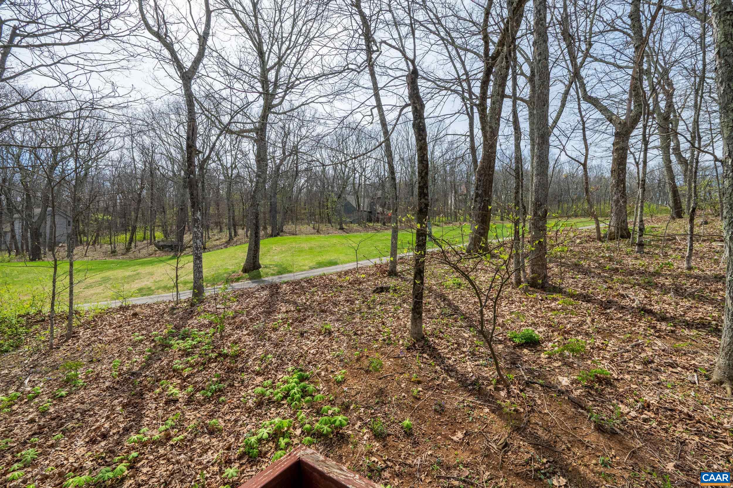 44 EAST CATOCTIN DR, WINTERGREEN RESORT, Virginia 22967, 4 Bedrooms Bedrooms, ,4 BathroomsBathrooms,Residential,11E-C-5,44 EAST CATOCTIN DR,676114 MLS # 676114