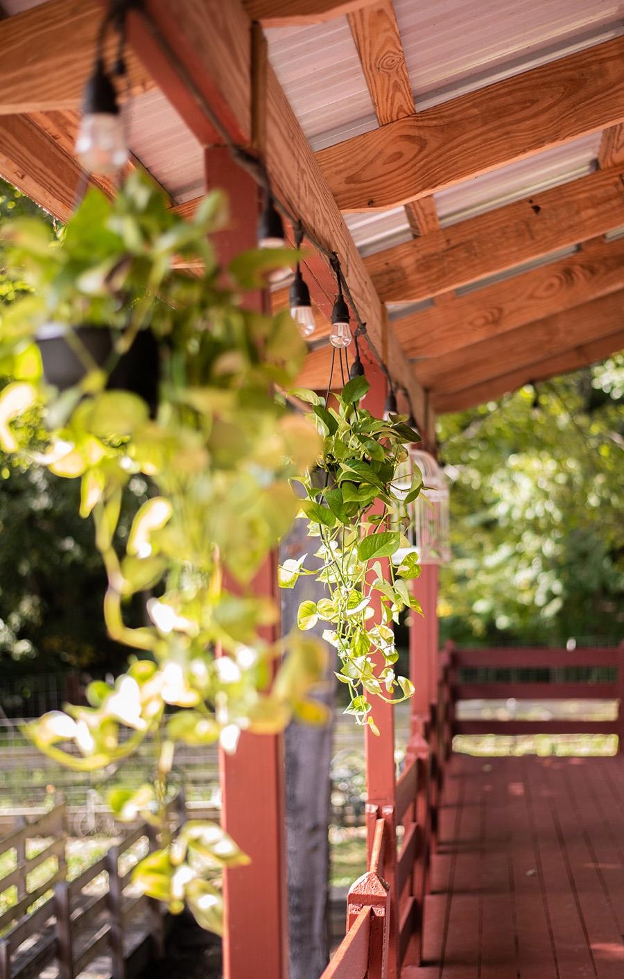 352 TYE RIVER TPKE, VESUVIUS, Virginia 24483, ,Commercial,352 TYE RIVER TPKE,676134 MLS # 676134