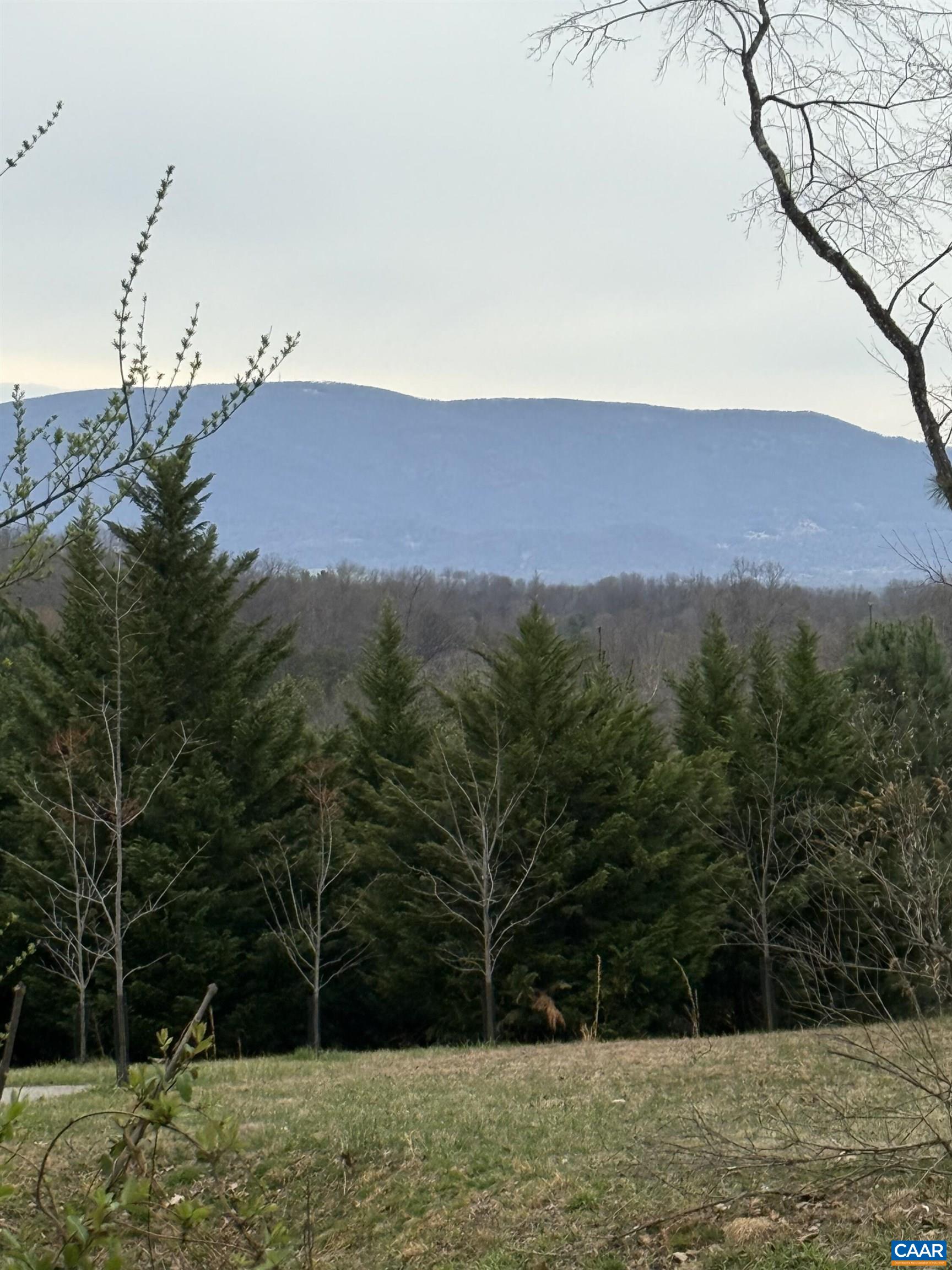 6133 PLANK RD, AFTON, Virginia 22920, ,Land,6133 PLANK RD,676050 MLS # 676050