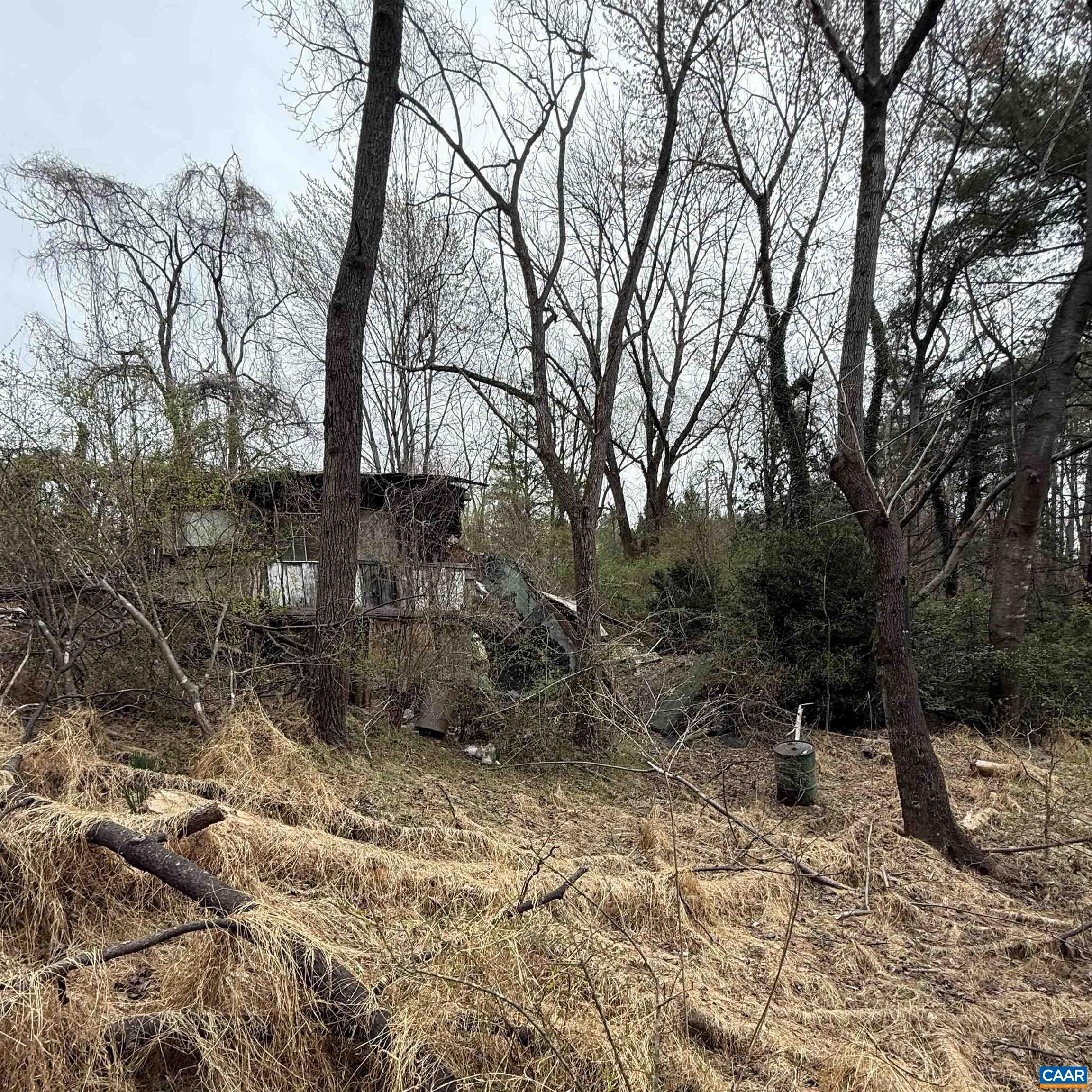 6133 PLANK RD, AFTON, Virginia 22920, ,Land,6133 PLANK RD,676050 MLS # 676050