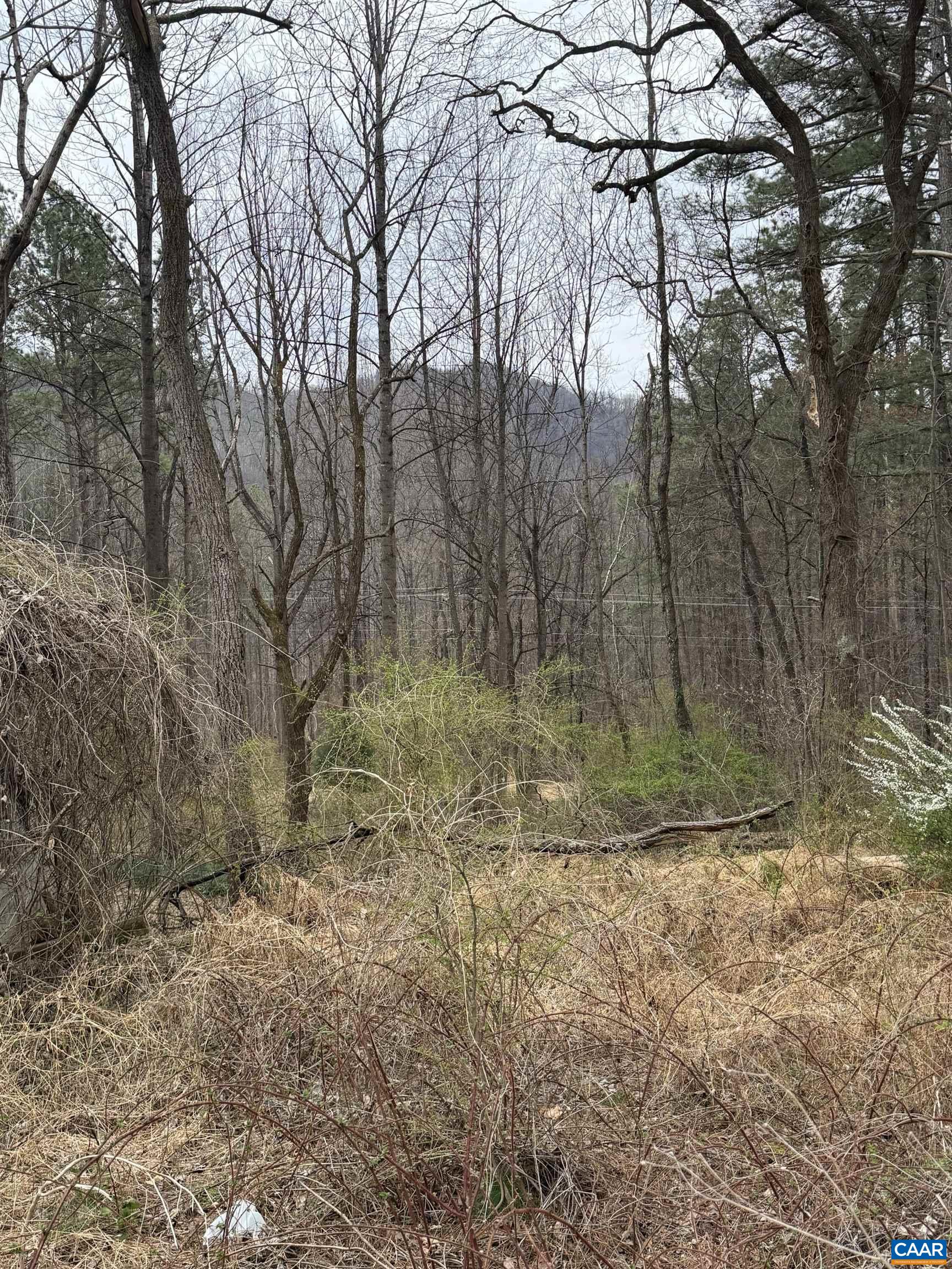 6133 PLANK RD, AFTON, Virginia 22920, ,Land,6133 PLANK RD,676050 MLS # 676050