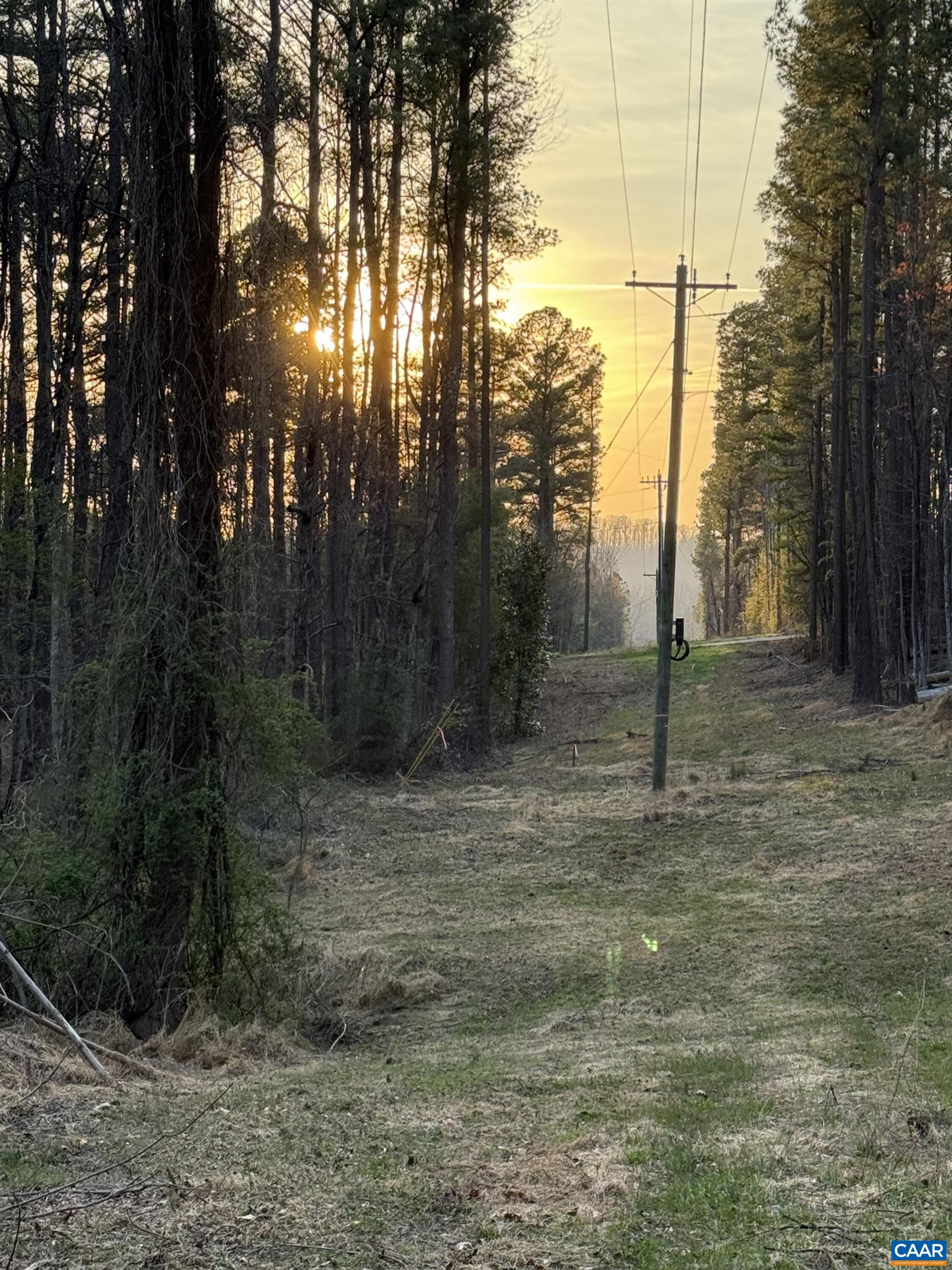 6133 PLANK RD, AFTON, Virginia 22920, ,Land,6133 PLANK RD,676050 MLS # 676050