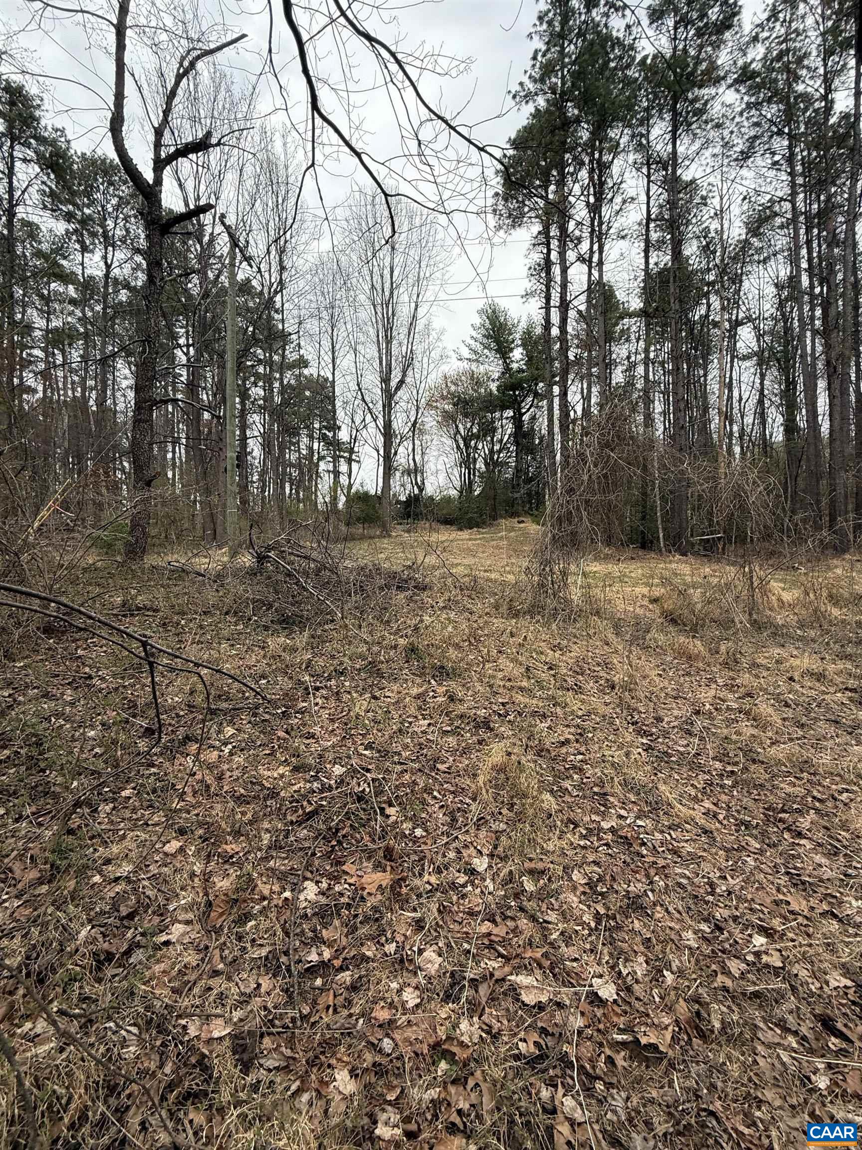 6133 PLANK RD, AFTON, Virginia 22920, ,Land,6133 PLANK RD,676050 MLS # 676050