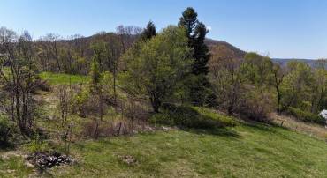 tbd KLONDIKE RD, WARM SPRINGS, Virginia 24484, ,Land,tbd KLONDIKE RD,676138 MLS # 676138