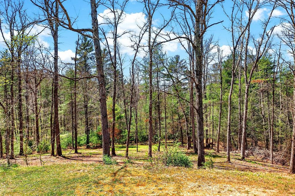 26 BOBCAT HILL, WEST AUGUSTA, Virginia 24485, 3 Bedrooms Bedrooms, ,2 BathroomsBathrooms,Residential,26 BOBCAT HILL,676150 MLS # 676150