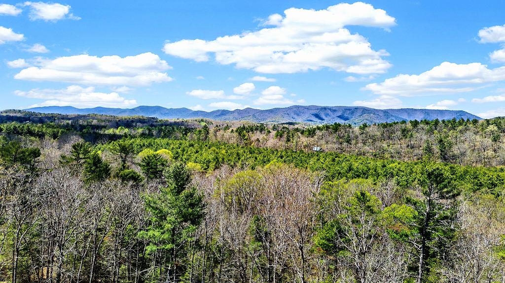 26 BOBCAT HILL, WEST AUGUSTA, Virginia 24485, 3 Bedrooms Bedrooms, ,2 BathroomsBathrooms,Residential,26 BOBCAT HILL,676150 MLS # 676150