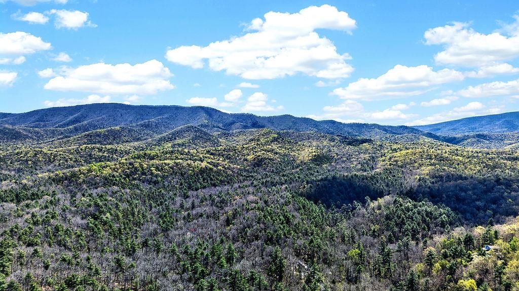 26 BOBCAT HILL, WEST AUGUSTA, Virginia 24485, 3 Bedrooms Bedrooms, ,2 BathroomsBathrooms,Residential,26 BOBCAT HILL,676150 MLS # 676150