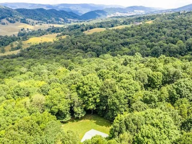 1271 SHADE LN, MONTEREY, Virginia 24465, 3 Bedrooms Bedrooms, ,1 BathroomBathrooms,Residential,1271 SHADE LN,676127 MLS # 676127