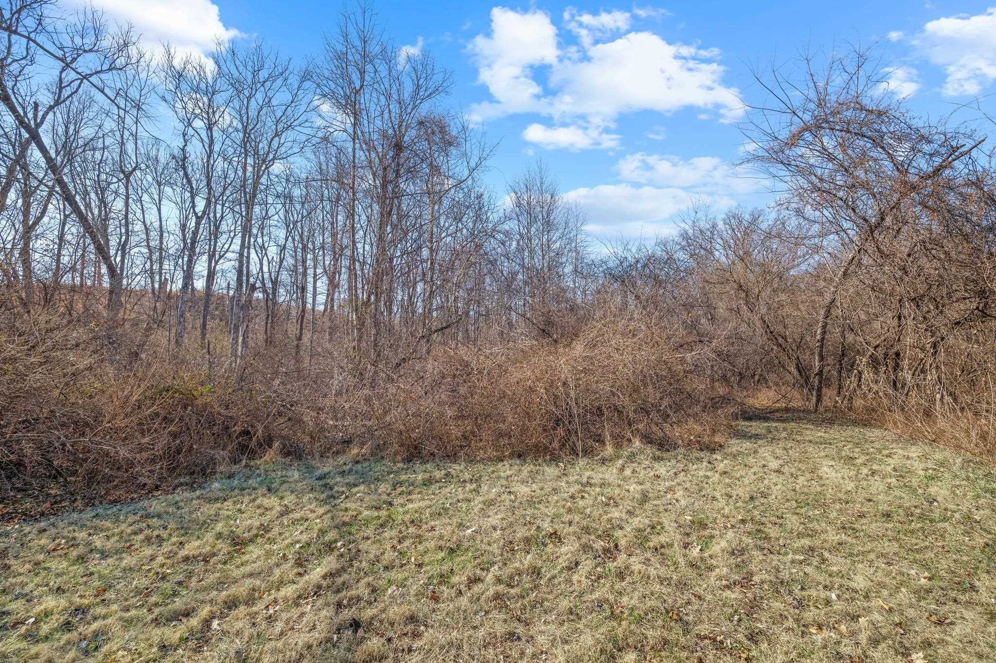 850 GREENWOOD RD, CROZET, Virginia 22932, 3 Bedrooms Bedrooms, ,2 BathroomsBathrooms,Residential,850 GREENWOOD RD,676128 MLS # 676128