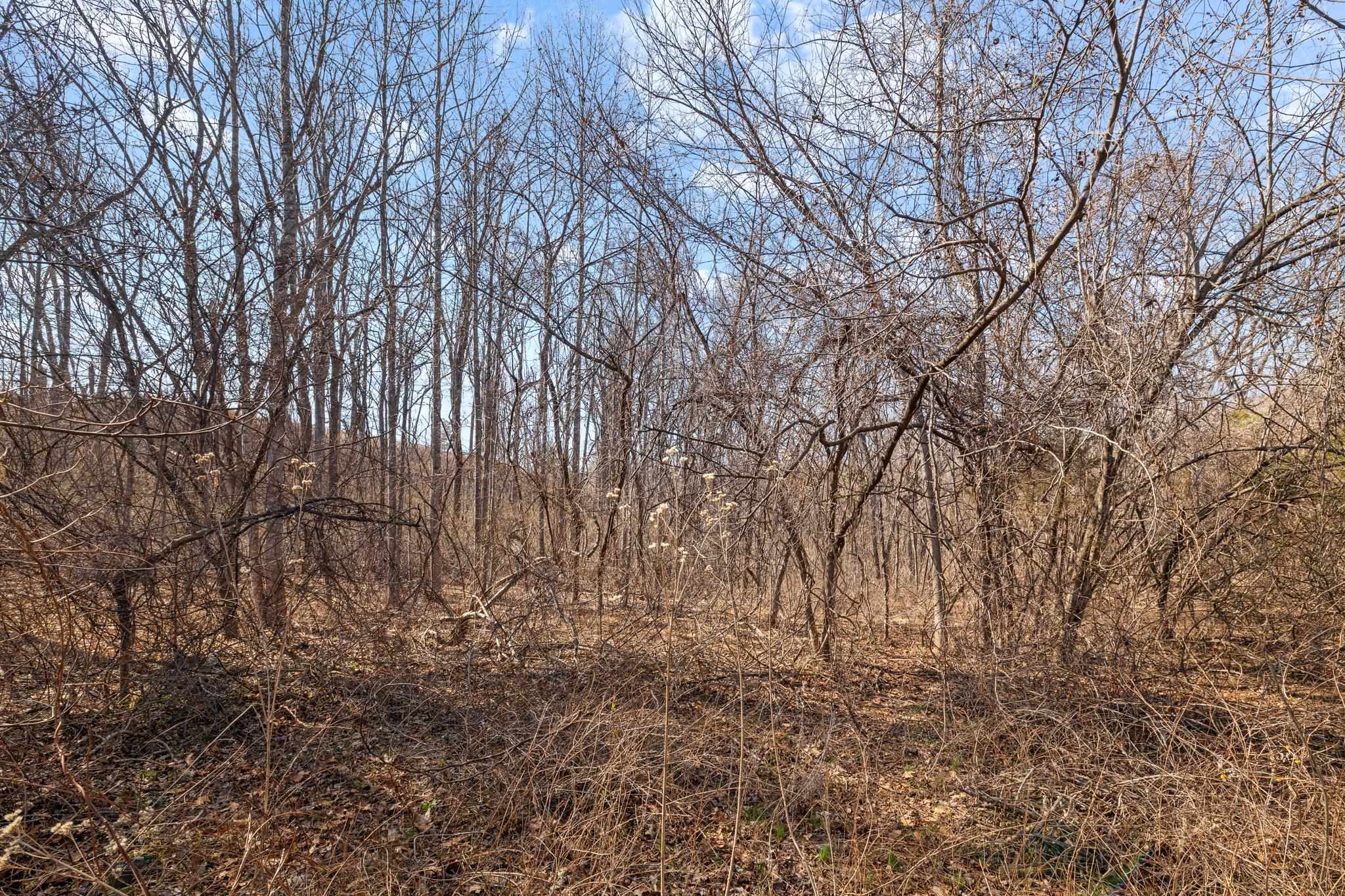 850 GREENWOOD RD, CROZET, Virginia 22932, 3 Bedrooms Bedrooms, ,2 BathroomsBathrooms,Residential,850 GREENWOOD RD,676128 MLS # 676128