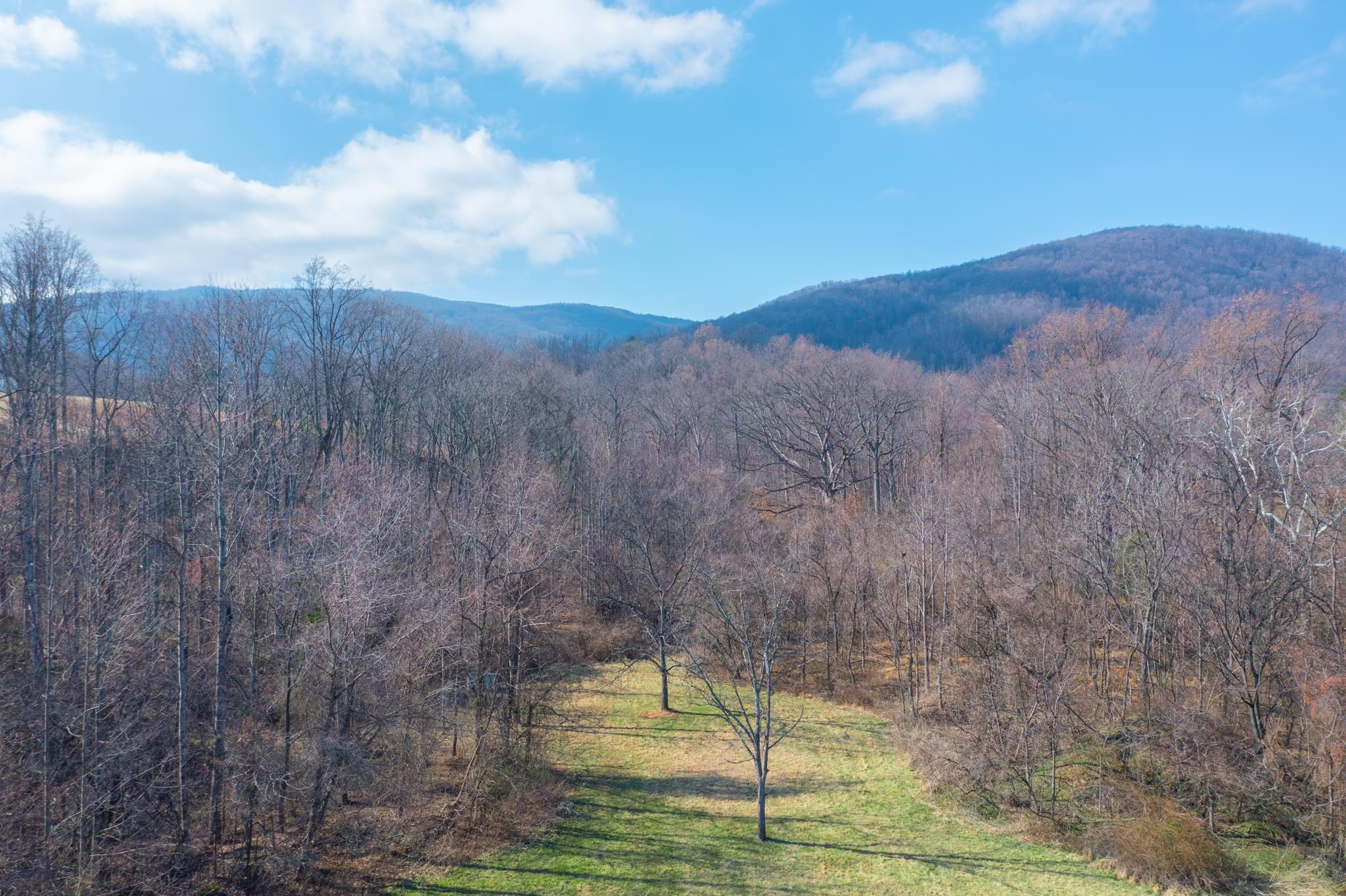 850 GREENWOOD RD, CROZET, Virginia 22932, 3 Bedrooms Bedrooms, ,2 BathroomsBathrooms,Residential,850 GREENWOOD RD,676128 MLS # 676128