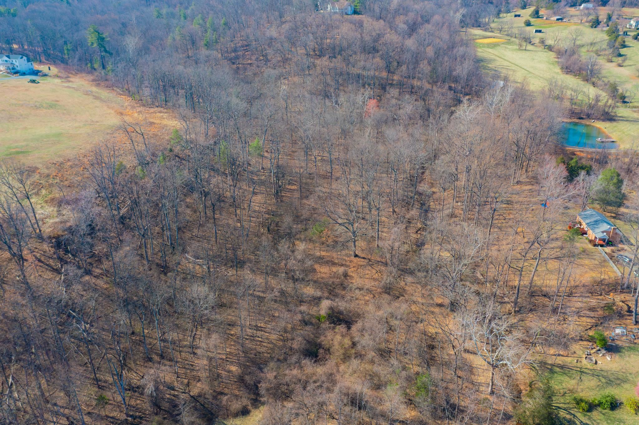 850 GREENWOOD RD, CROZET, Virginia 22932, 3 Bedrooms Bedrooms, ,2 BathroomsBathrooms,Residential,850 GREENWOOD RD,676128 MLS # 676128