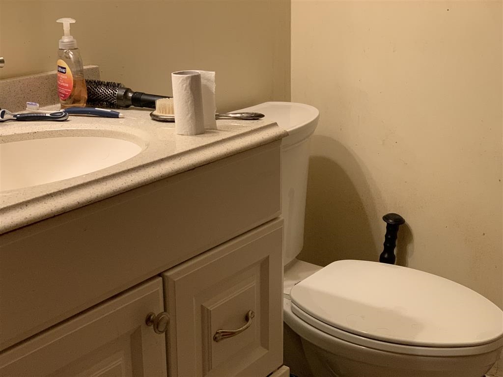 15 N BEARWOOD DR, PALMYRA, Virginia 22963, 3 Bedrooms Bedrooms, ,3 BathroomsBathrooms,Residential,15 N BEARWOOD DR,676130 MLS # 676130