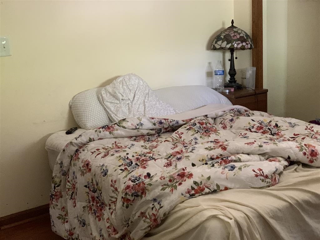 15 N BEARWOOD DR, PALMYRA, Virginia 22963, 3 Bedrooms Bedrooms, ,3 BathroomsBathrooms,Residential,15 N BEARWOOD DR,676130 MLS # 676130