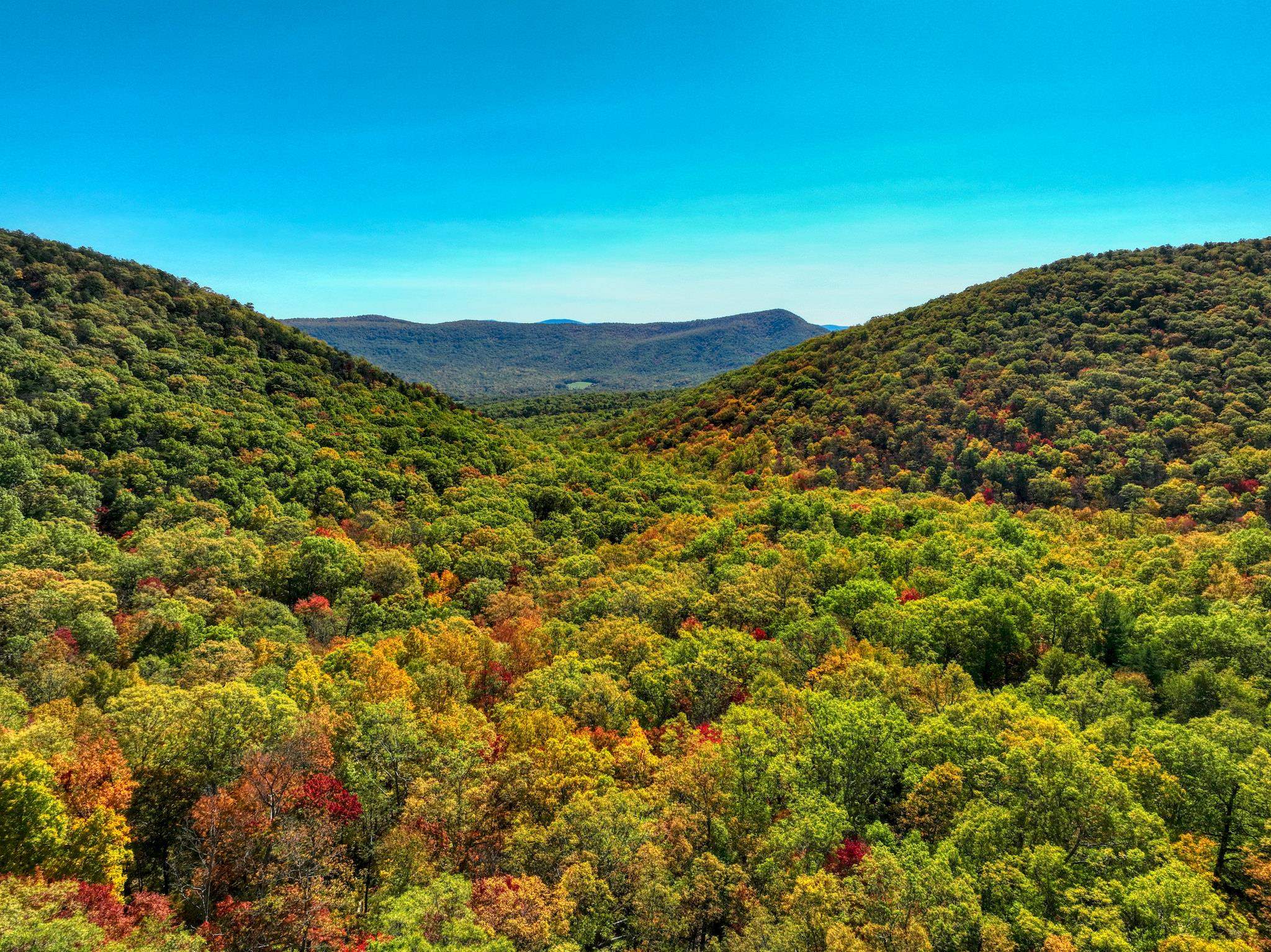 323 PALMER RD, BASYE, Virginia 22810, 3 Bedrooms Bedrooms, ,2 BathroomsBathrooms,Residential,323 PALMER RD,676144 MLS # 676144