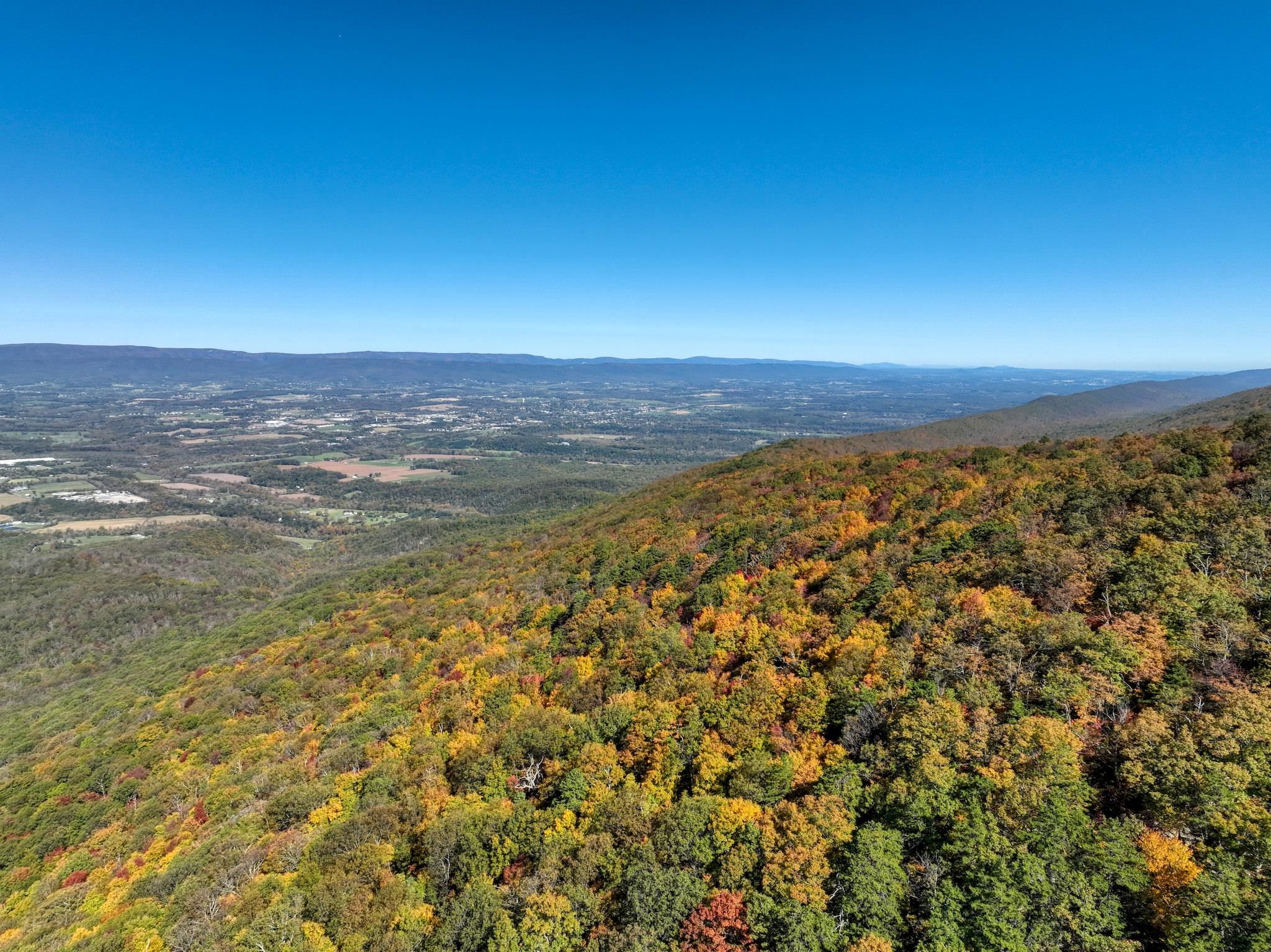 323 PALMER RD, BASYE, Virginia 22810, 3 Bedrooms Bedrooms, ,2 BathroomsBathrooms,Residential,323 PALMER RD,676144 MLS # 676144