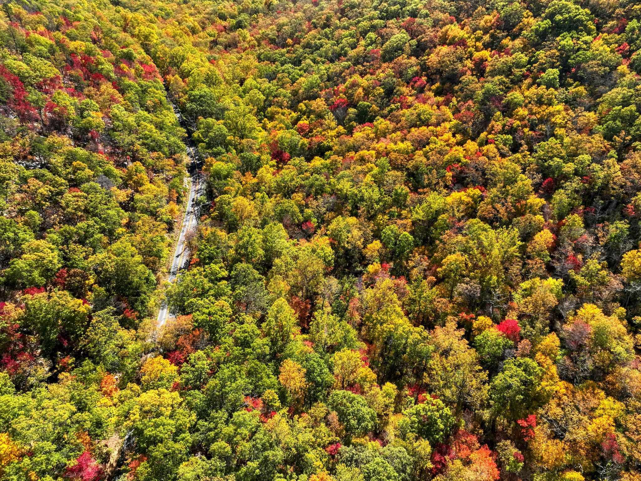 323 PALMER RD, BASYE, Virginia 22810, 3 Bedrooms Bedrooms, ,2 BathroomsBathrooms,Residential,323 PALMER RD,676144 MLS # 676144