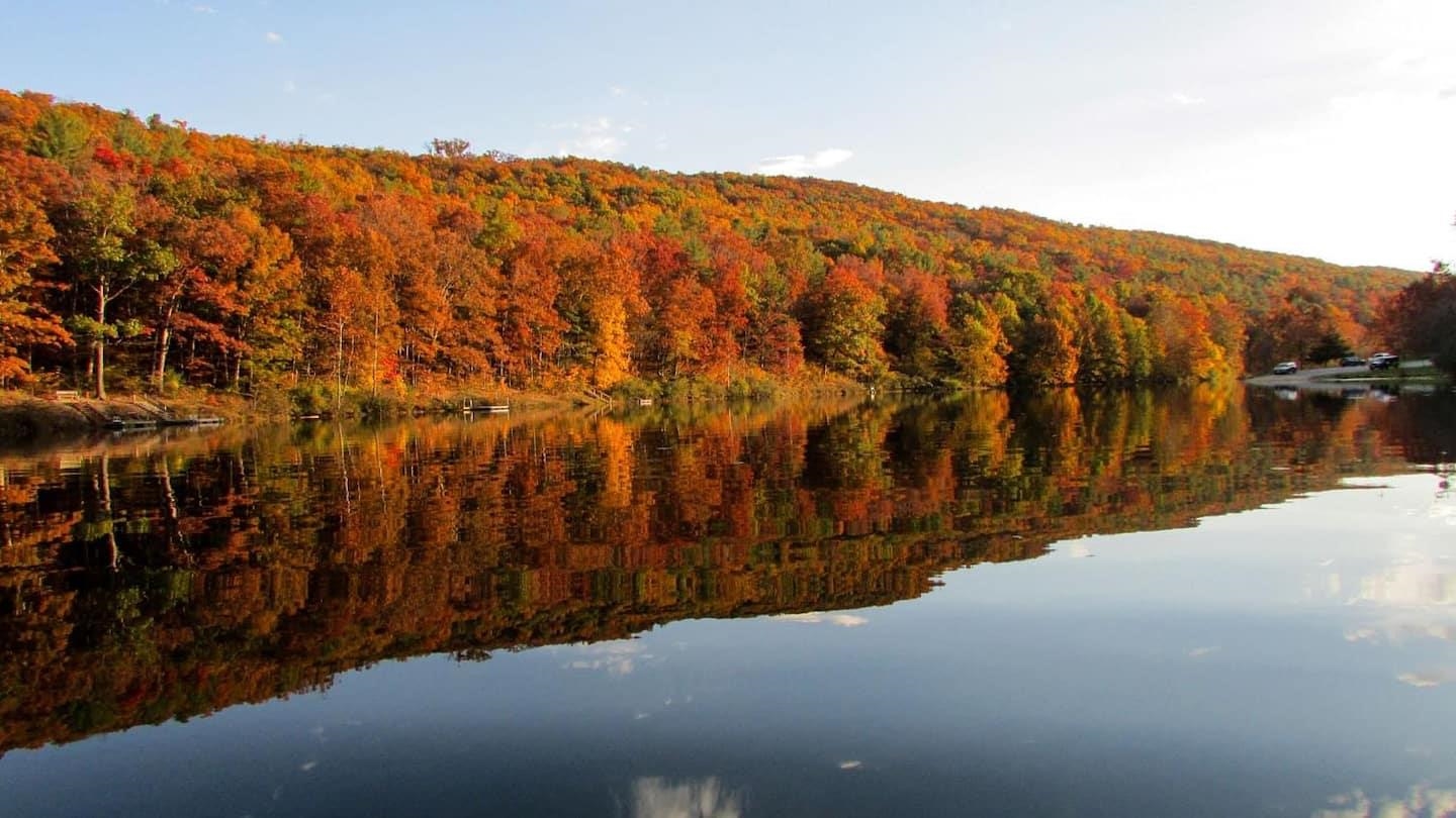 323 PALMER RD, BASYE, Virginia 22810, 3 Bedrooms Bedrooms, ,2 BathroomsBathrooms,Residential,323 PALMER RD,676144 MLS # 676144