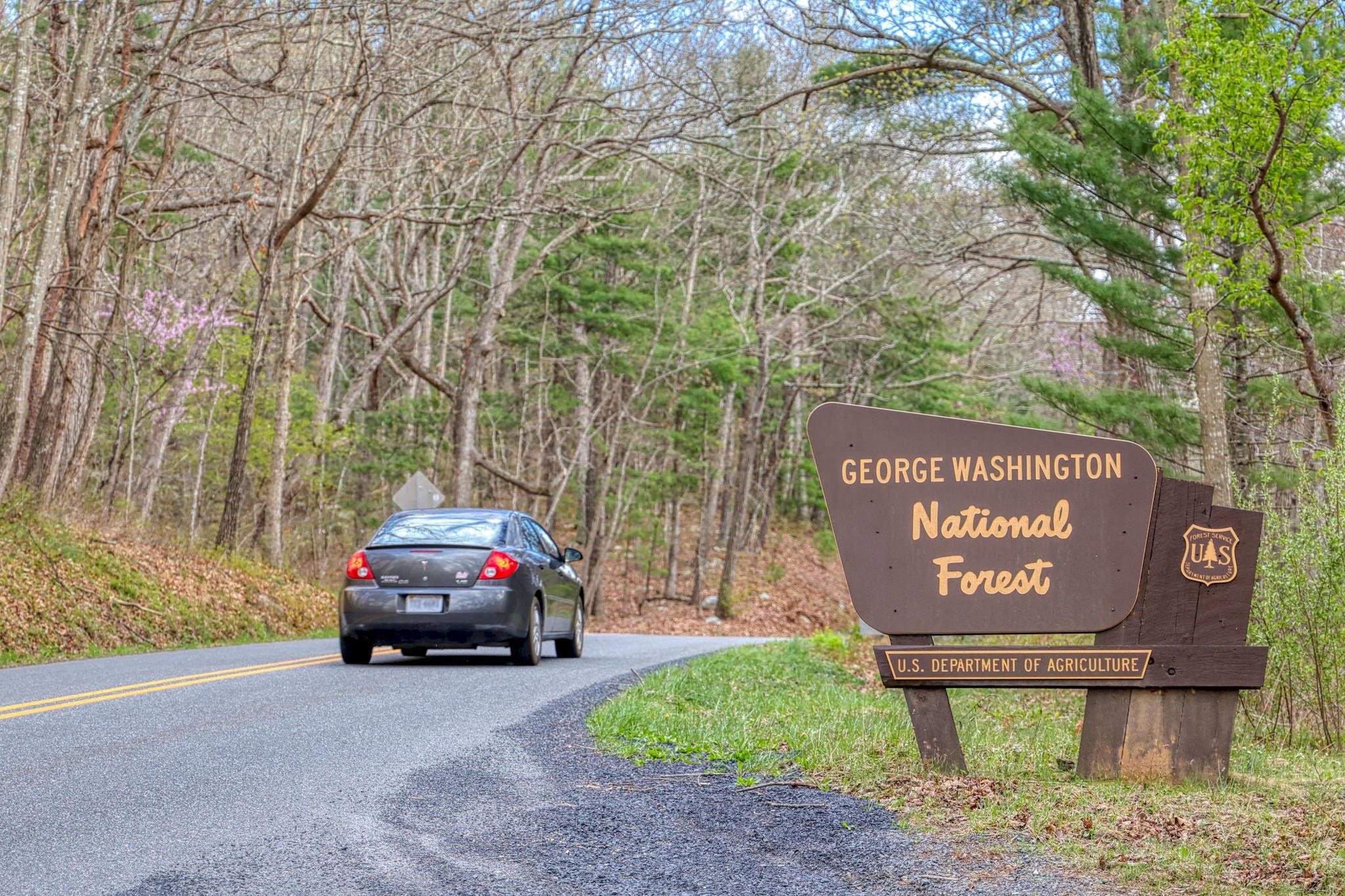 213 MORRIE DR, BASYE, Virginia 22810, 3 Bedrooms Bedrooms, ,2 BathroomsBathrooms,Residential,213 MORRIE DR,676147 MLS # 676147