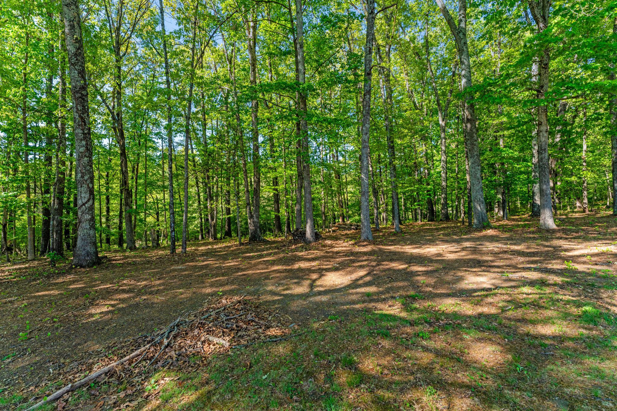 3690 BEAUTIFUL RUN RD, ORANGE, Virginia 22960, 4 Bedrooms Bedrooms, ,3 BathroomsBathrooms,Residential,3690 BEAUTIFUL RUN RD,VAMA2002646 MLS # VAMA2002646